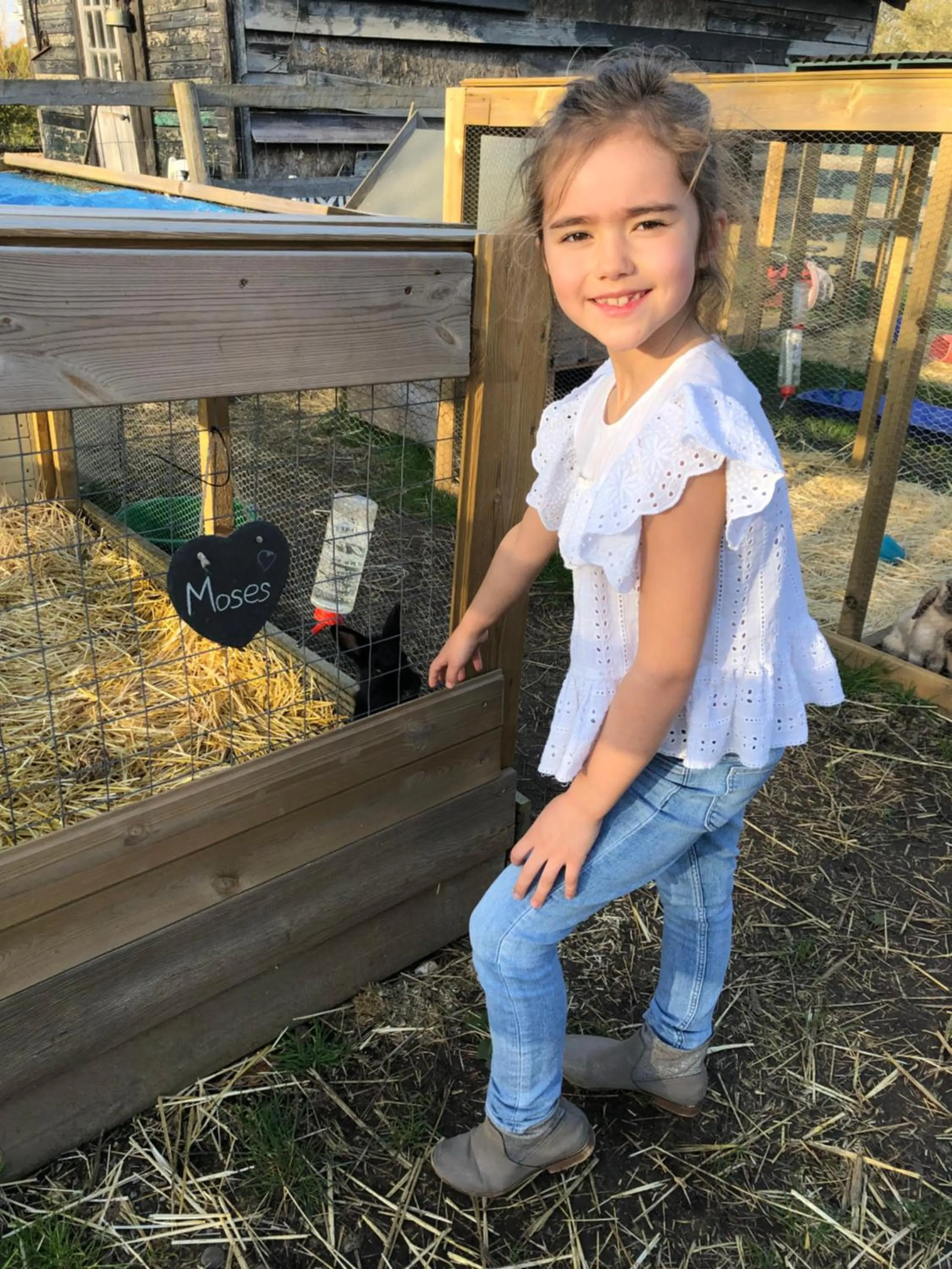 Animals in Windsor Studio East