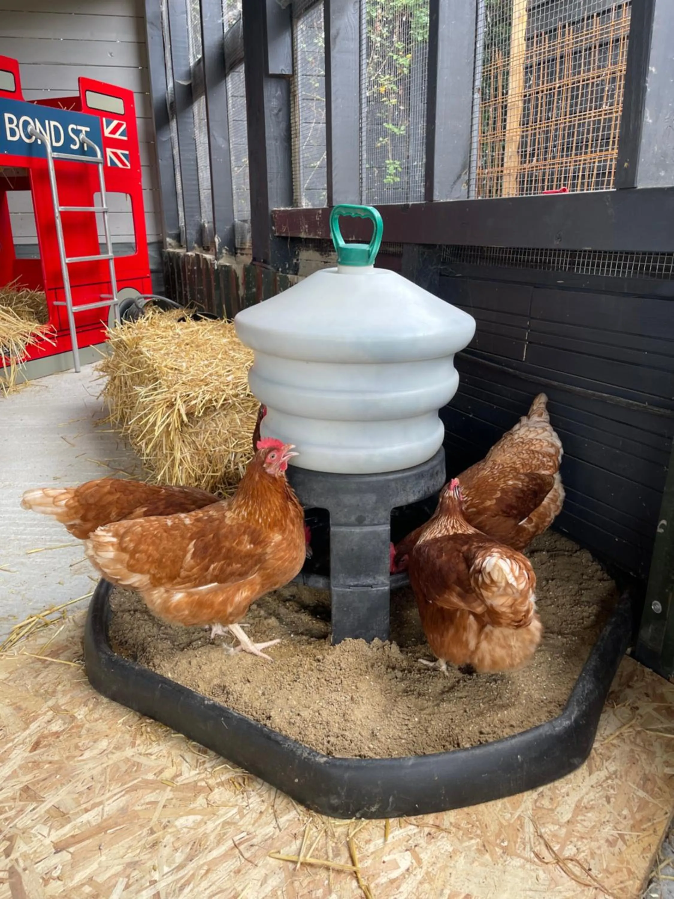 Willow Court Farm Studio East & Petting Farm, 8 mins to Legoland & Windsor, 15 mins to Lapland UK