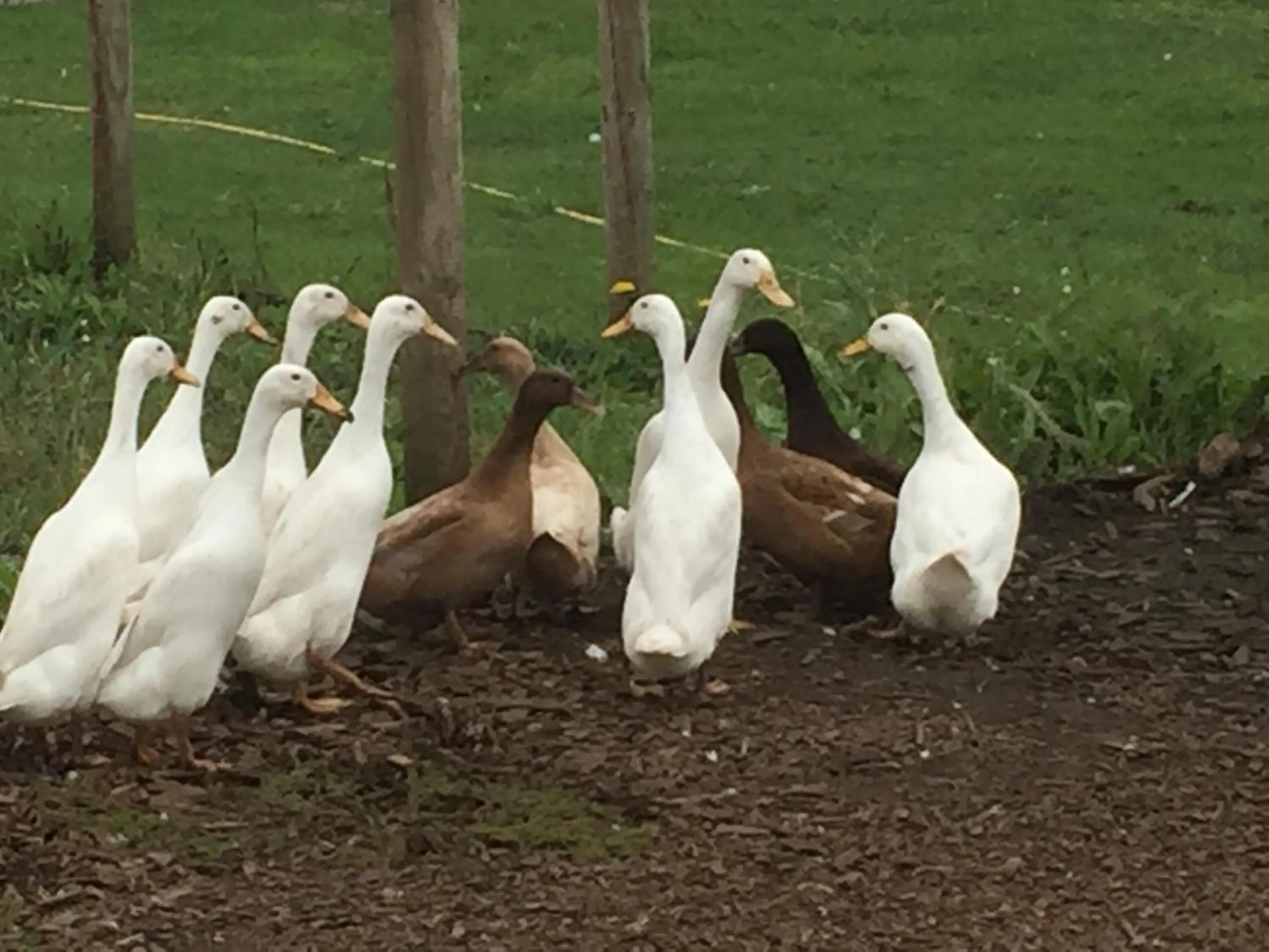 Other in Windsor Studio East