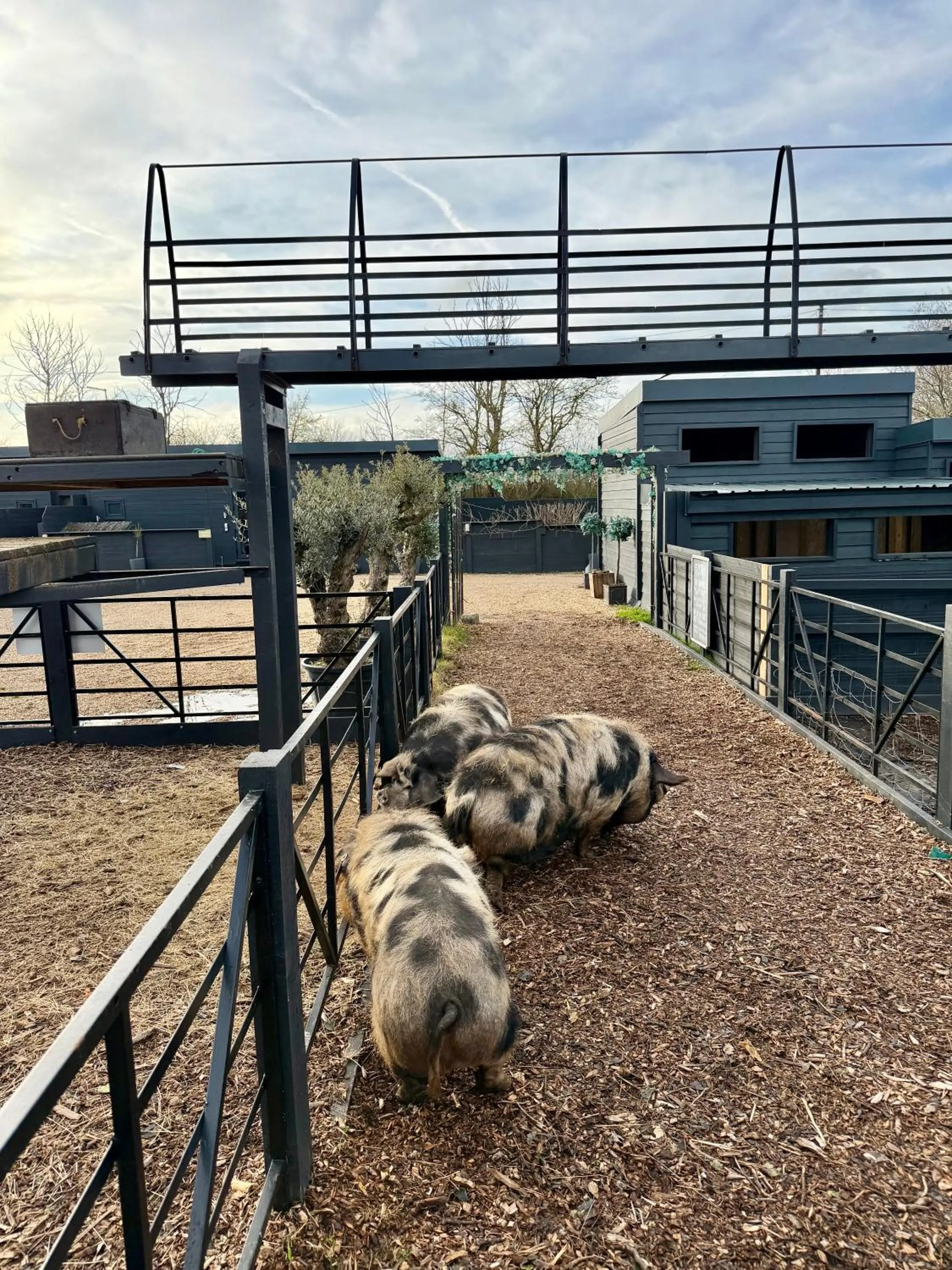 Willow Court Farm Studio East & Petting Farm, 8 mins to Legoland & Windsor, 15 mins to Lapland UK