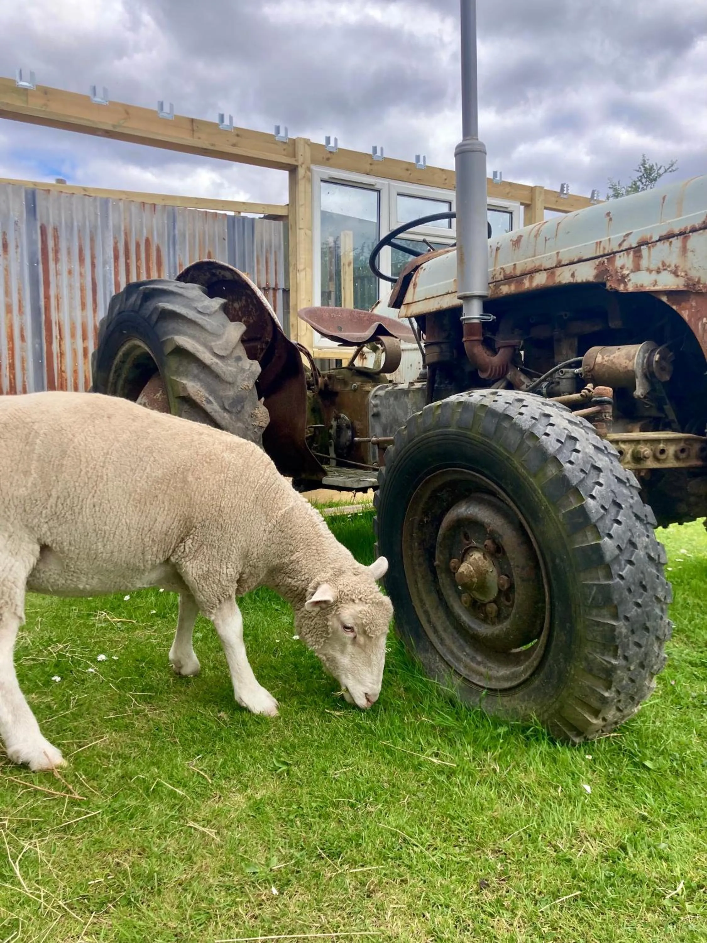 Willow Court Farm Studio East & Petting Farm, 8 mins to Legoland & Windsor, 15 mins to Lapland UK