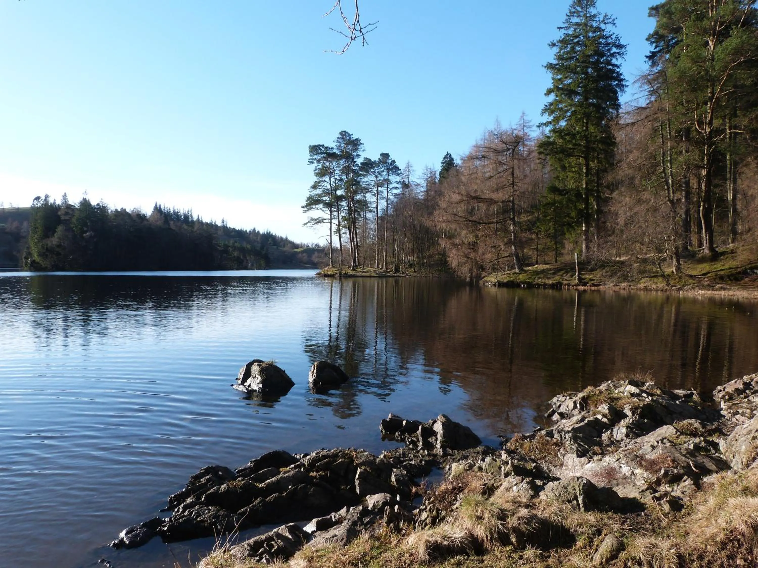 Property building in Pomona