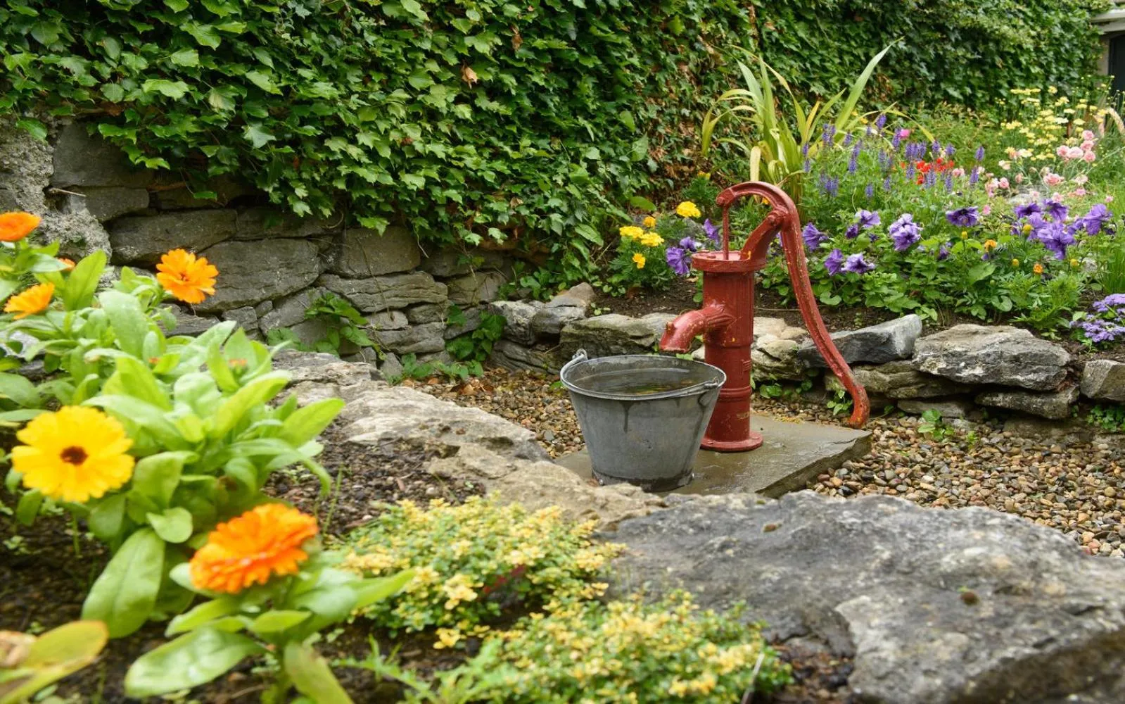Area and facilities in The Wild Atlantic Lodge