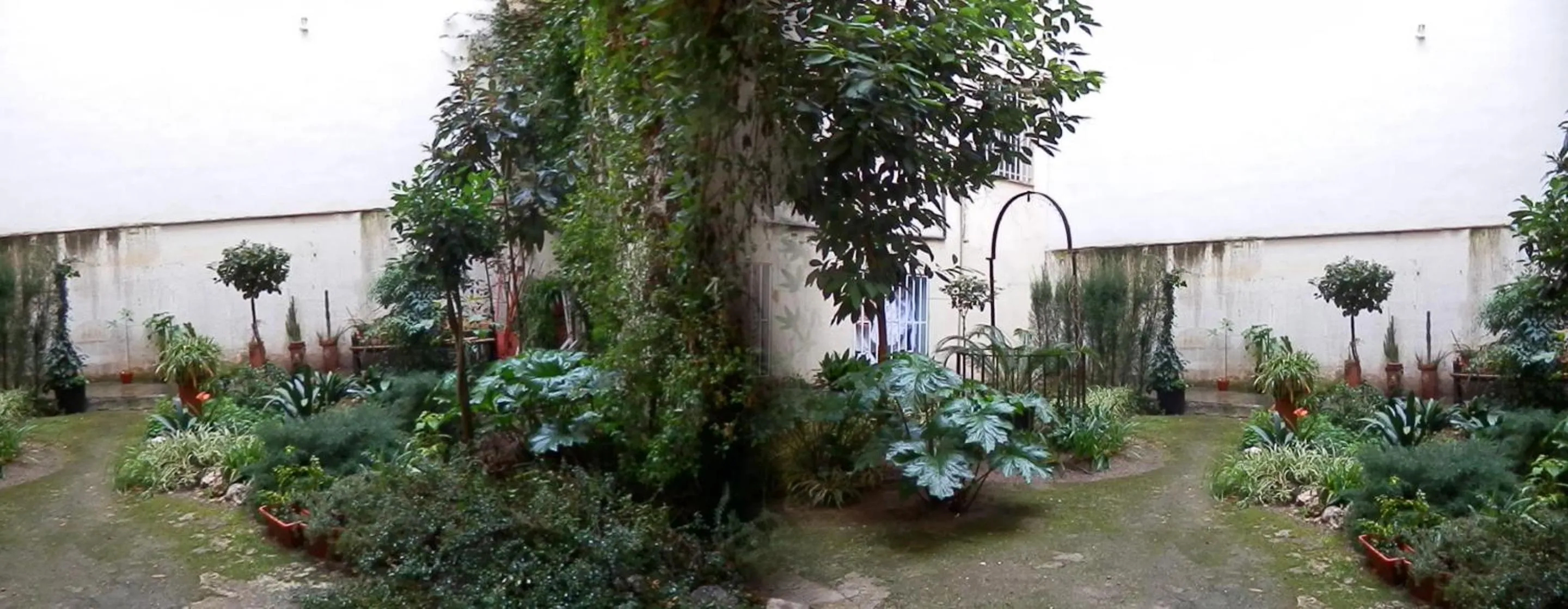 Garden in Hostal del Pez Azul
