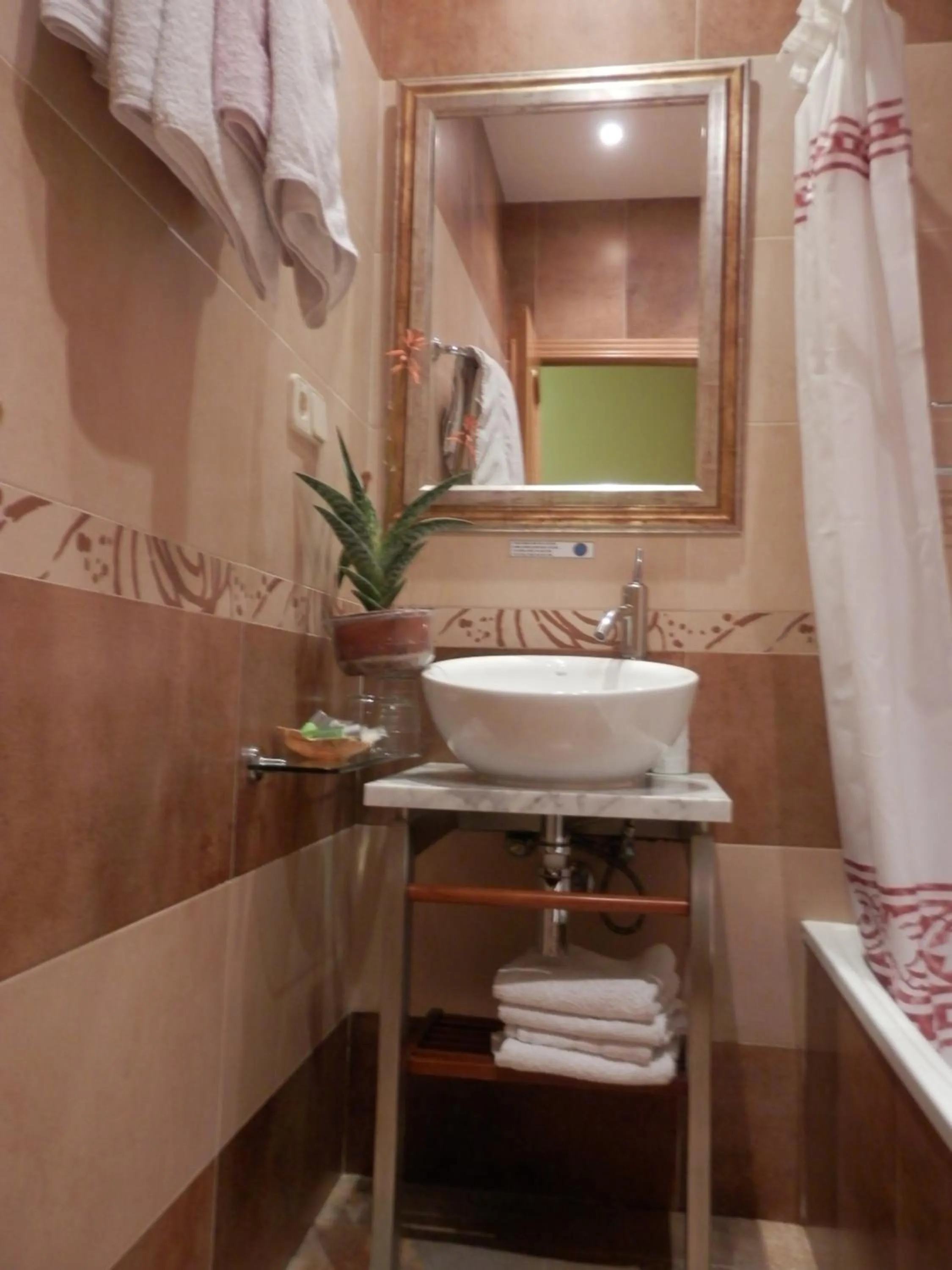 Toilet in Hostal del Pez Azul