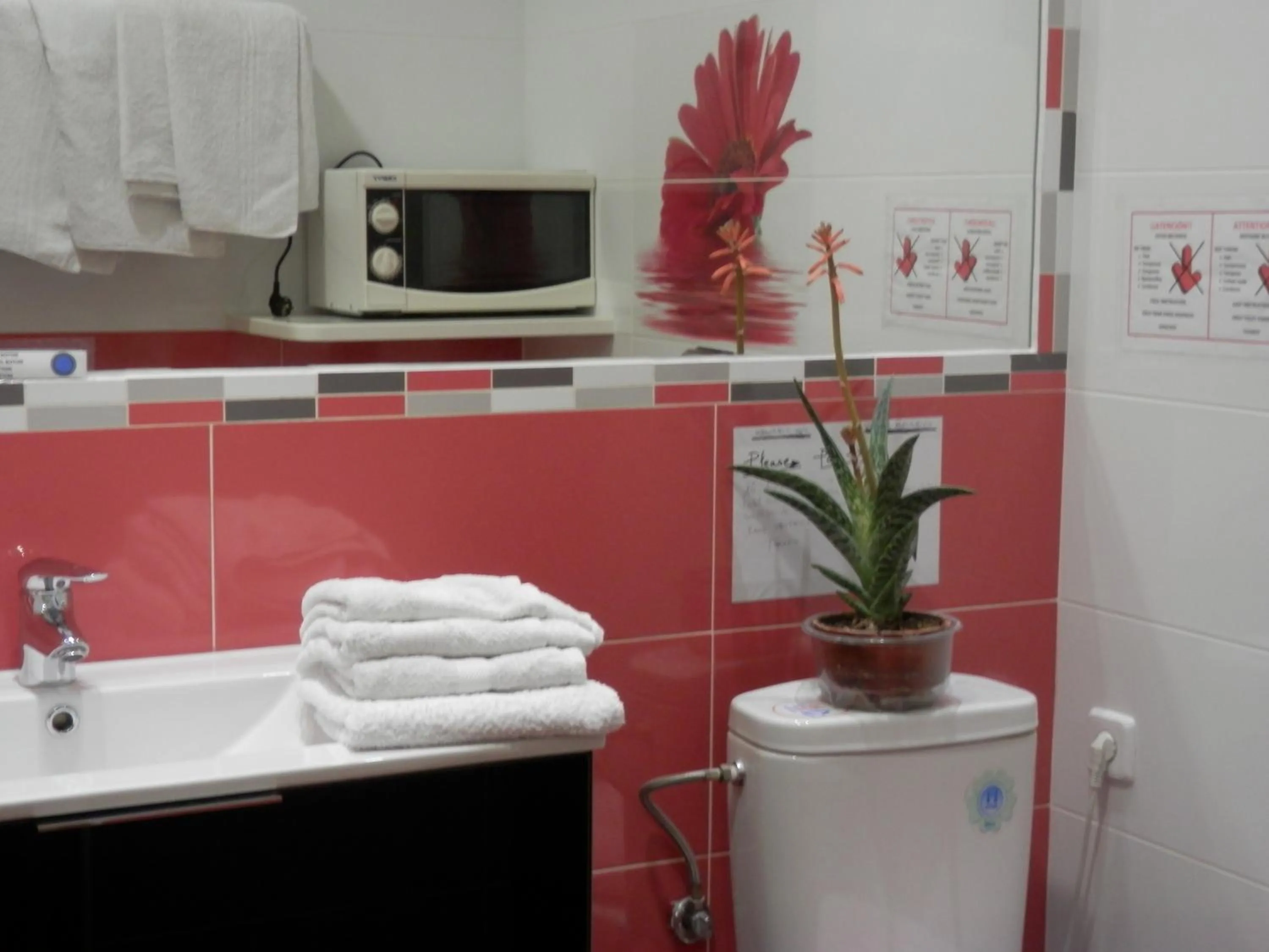 Toilet in Hostal del Pez Azul