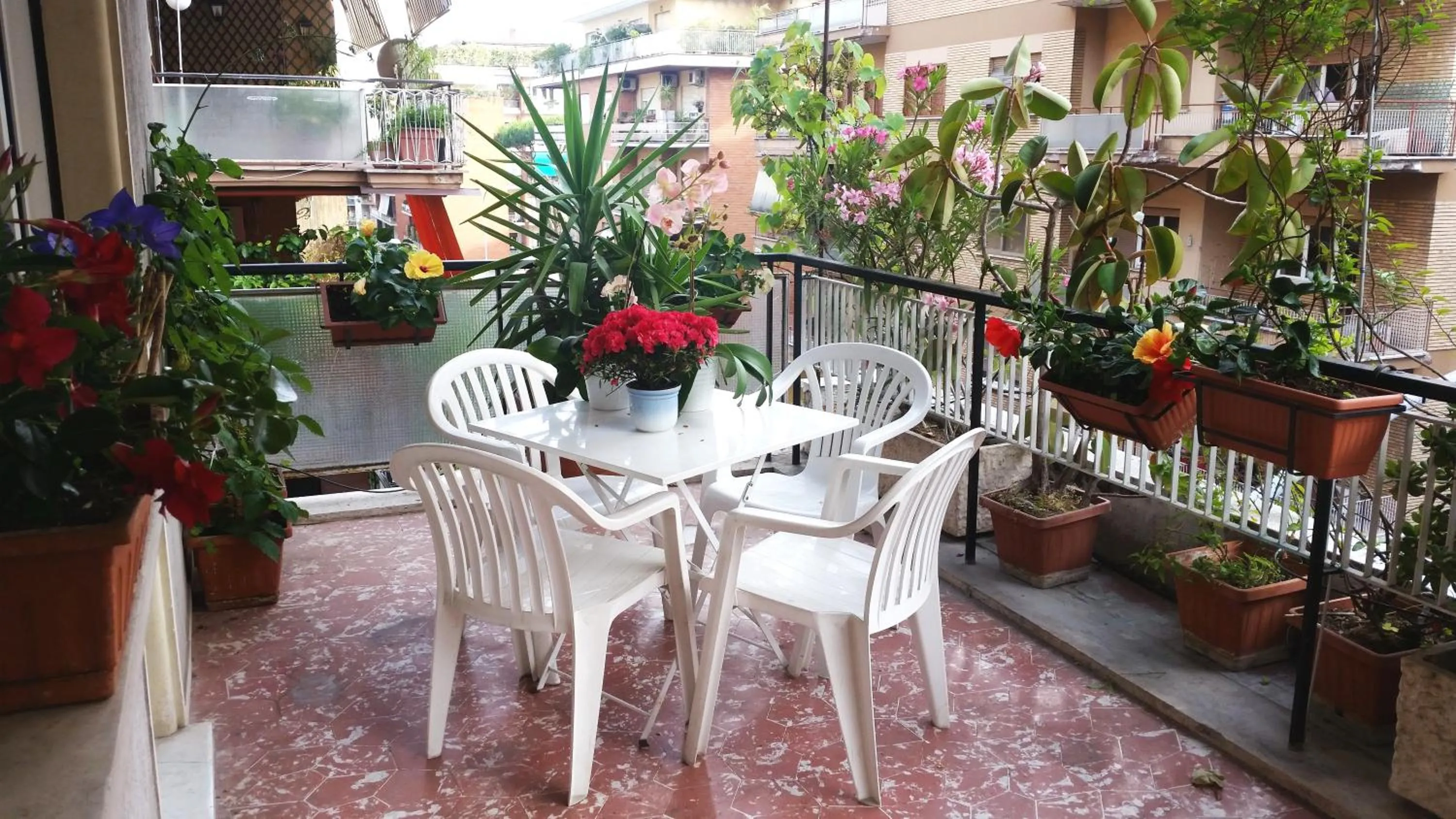 Balcony/Terrace in Vatican De Carolis Terrace
