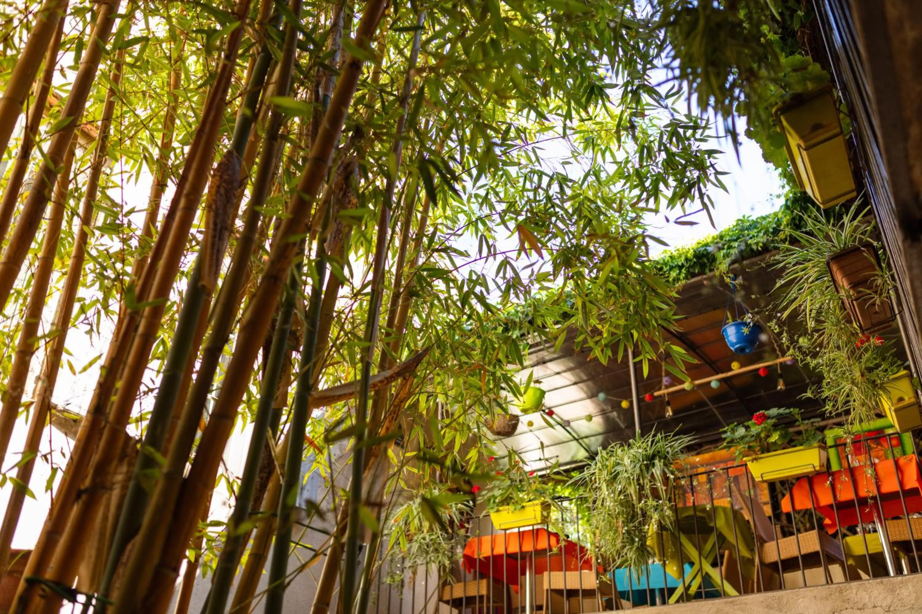 Garden view in La Tour Du Terroir