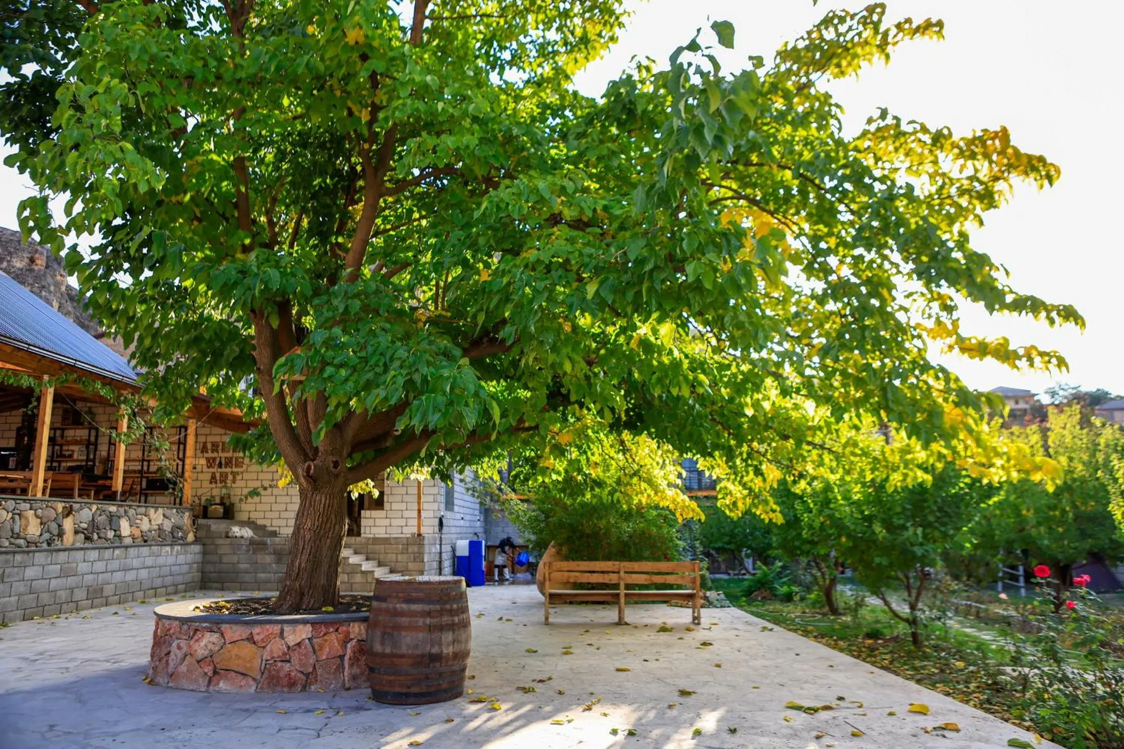 Garden in Areni Wine Art