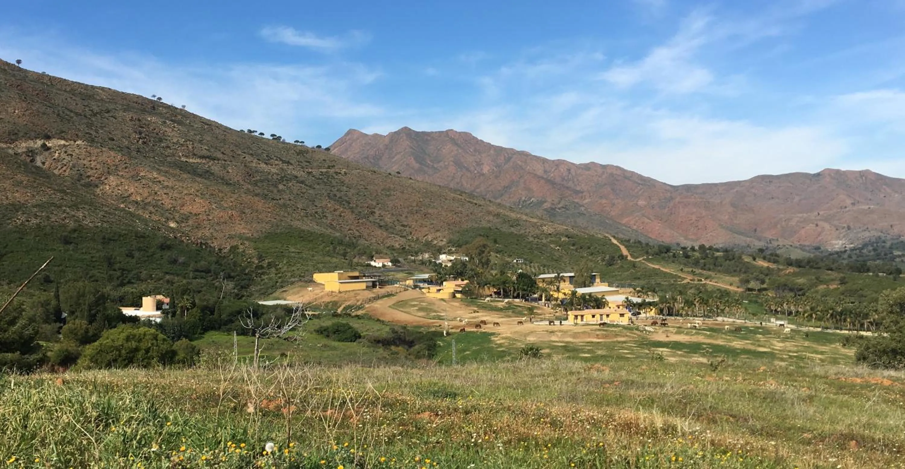 Neighbourhood in La Careza De Mijas - Adults Only