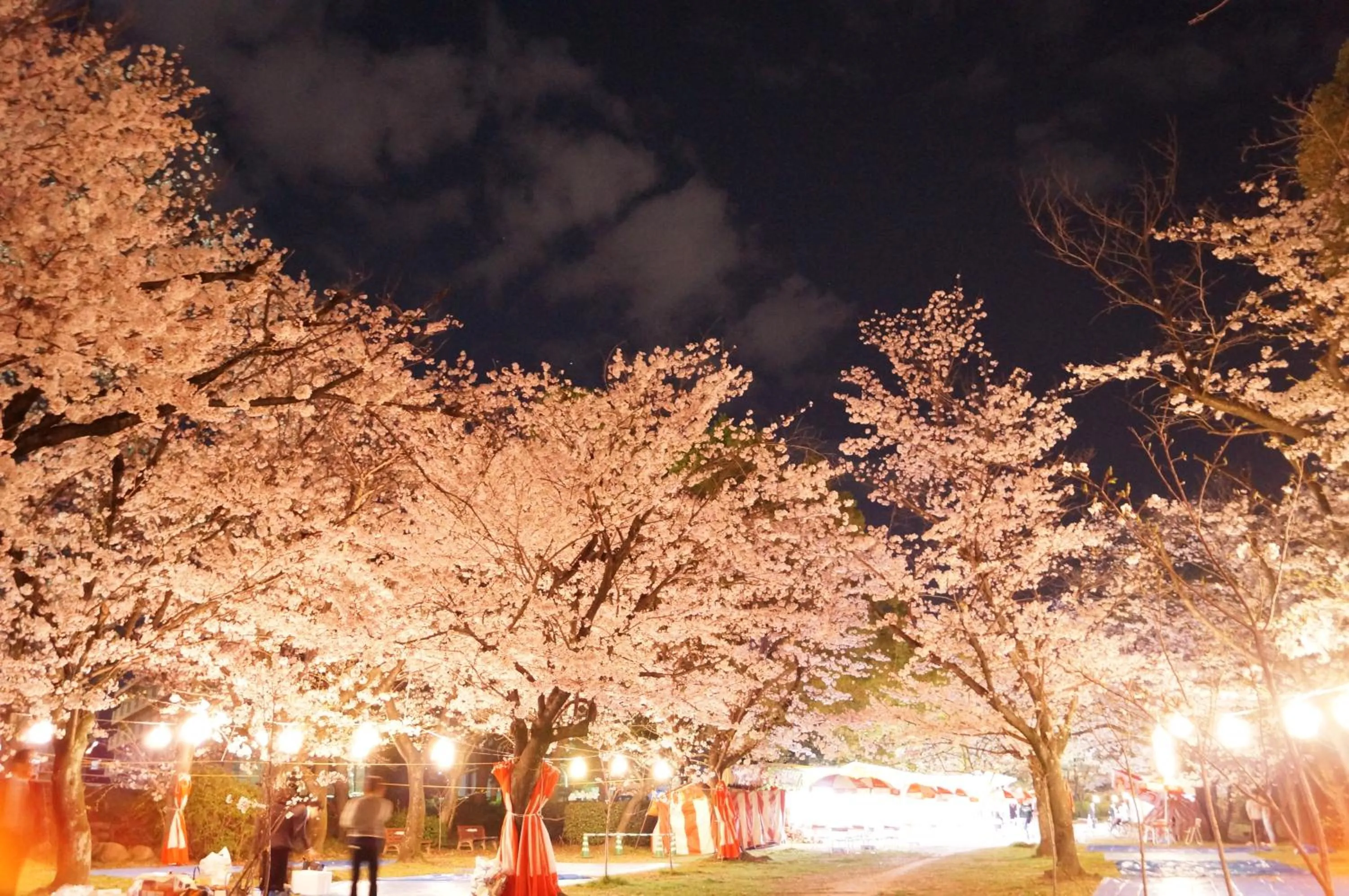 Nearby landmark in The Evergreen Hostel 長期ステイ歓迎 エバーグリーンホステル