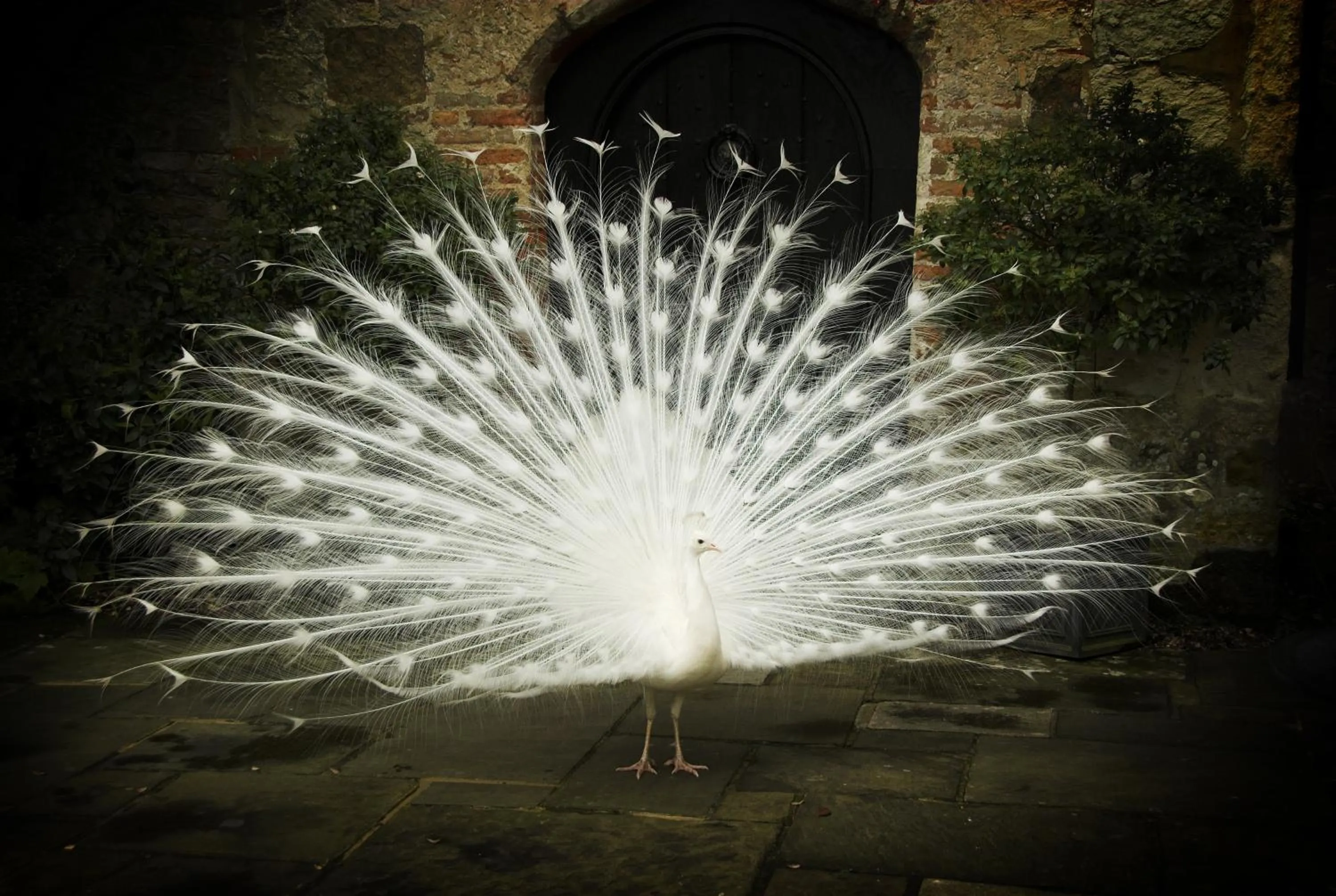 Other in Amberley Castle- A Relais & Chateaux Hotel