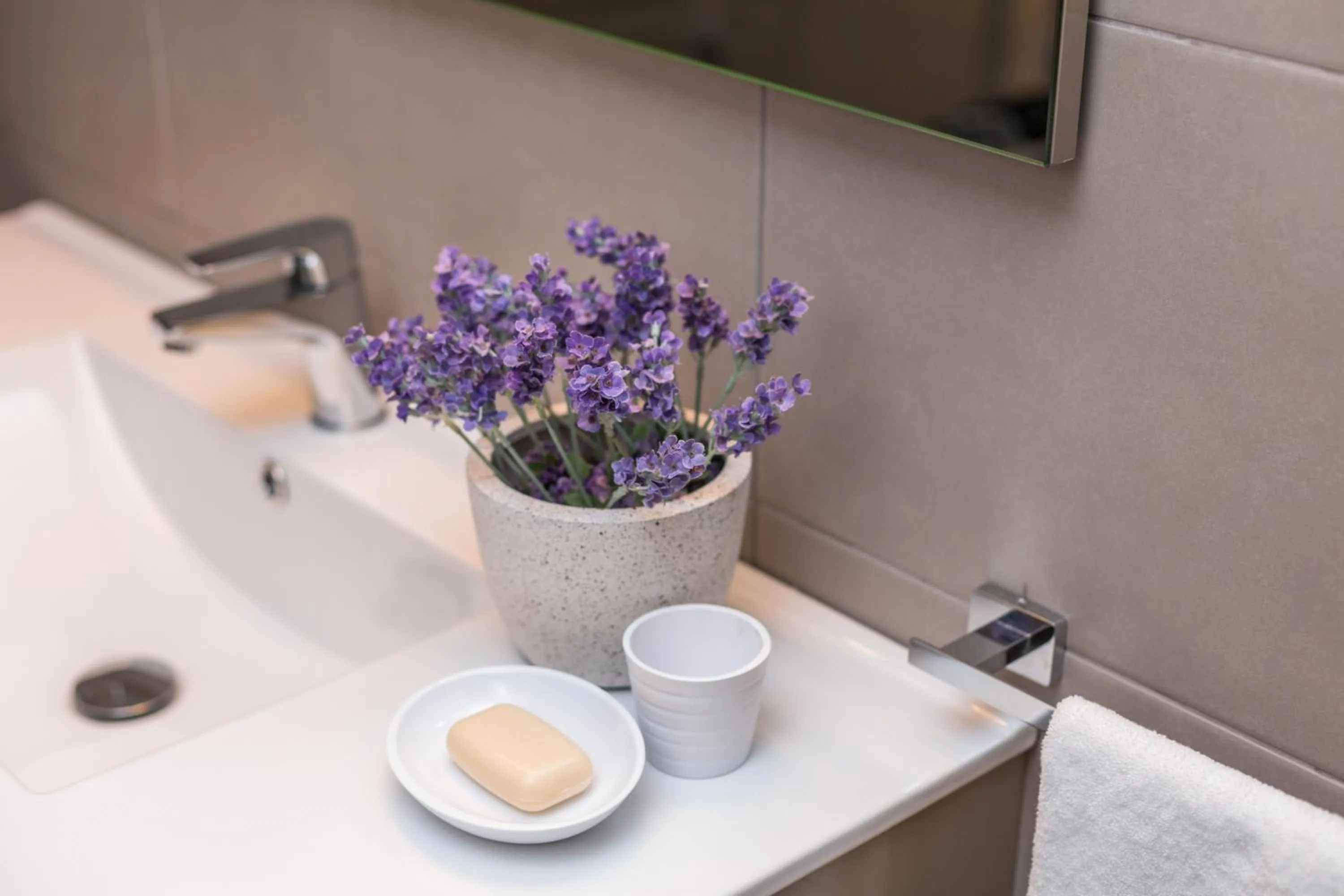 Area and facilities in Flateli 430 BCN