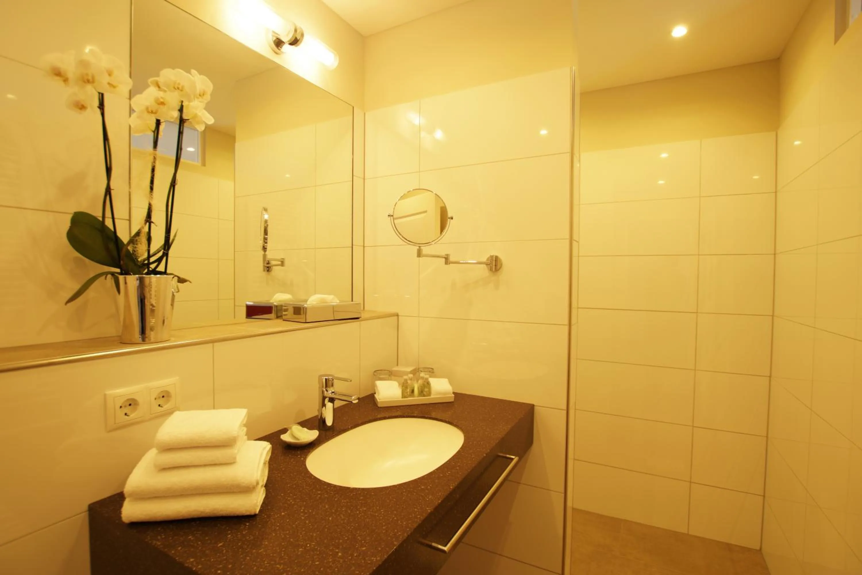 Shower in Landhotel Sanct Peter