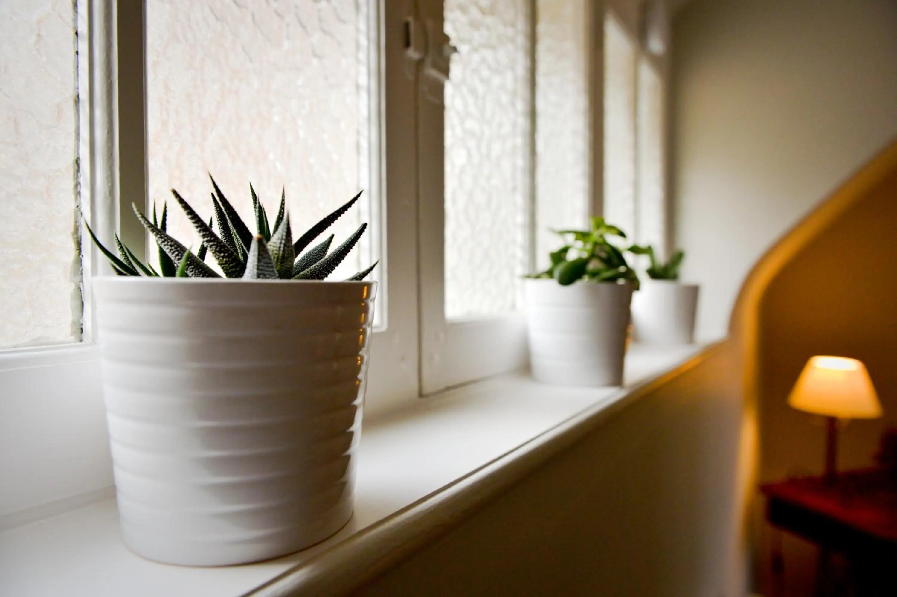 Decorative detail in La Maison de Pierre et Valérie Ste Catherine Honfleur
