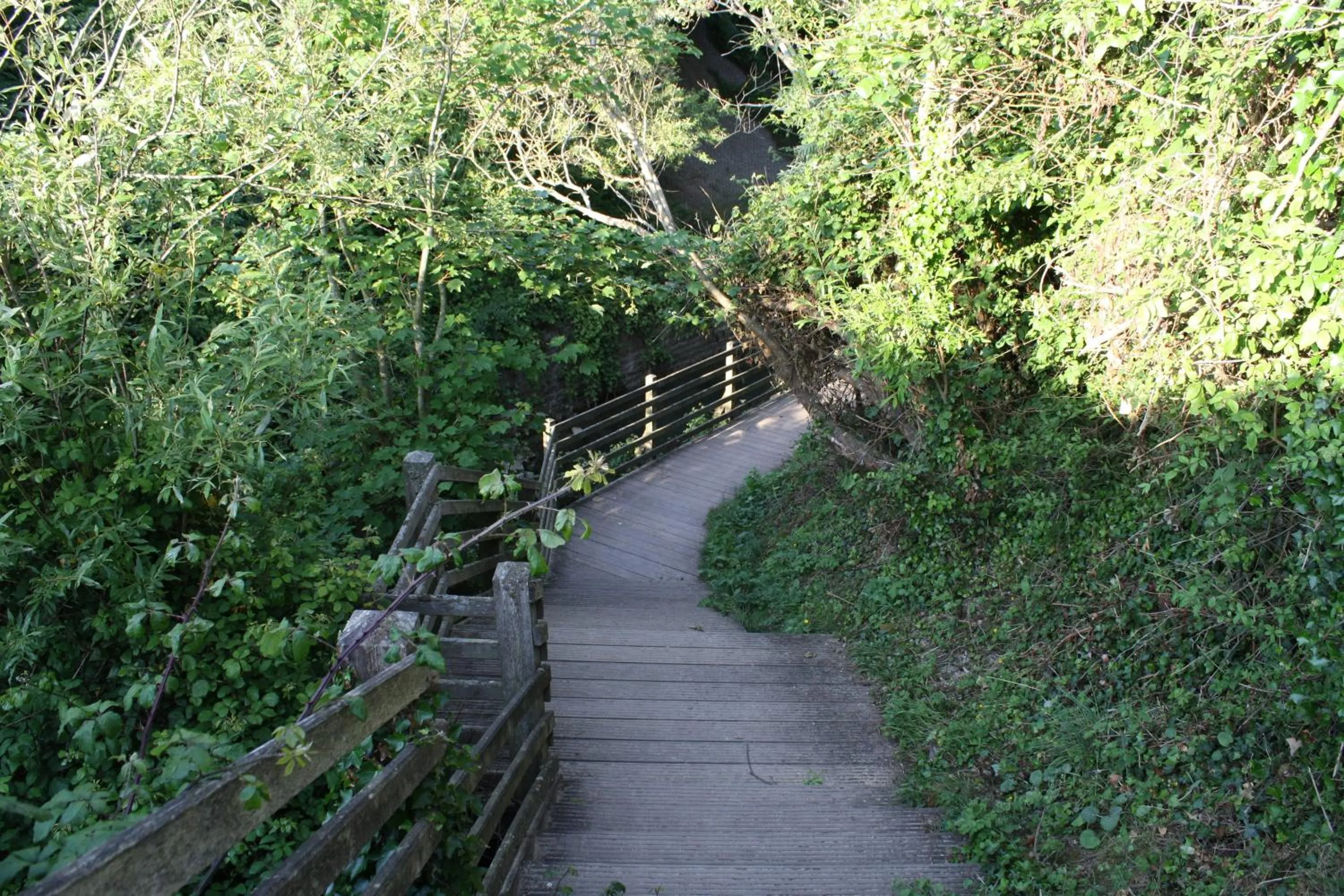 Activities in La marine D'opale