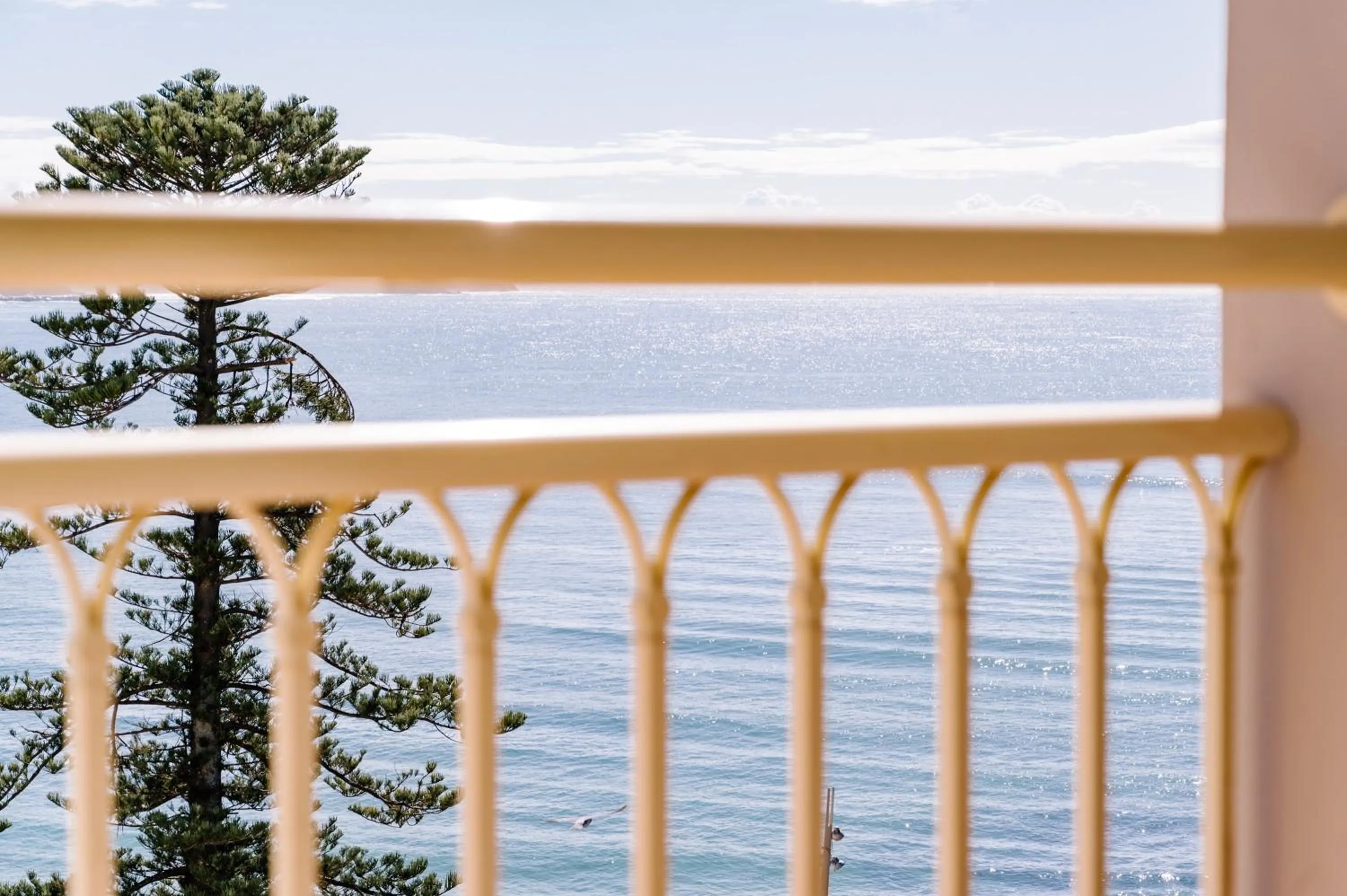 Photo of the whole room in Crowne Plaza Terrigal Pacific by IHG