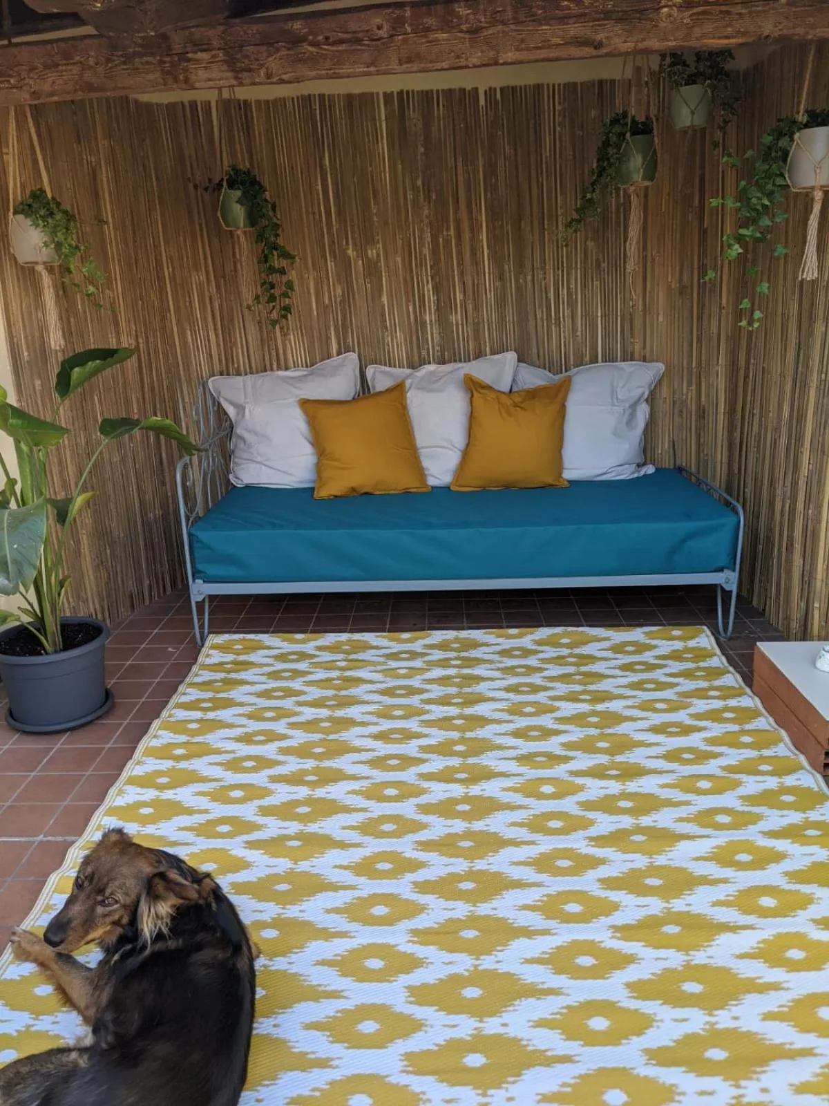 Balcony/Terrace in Le 33