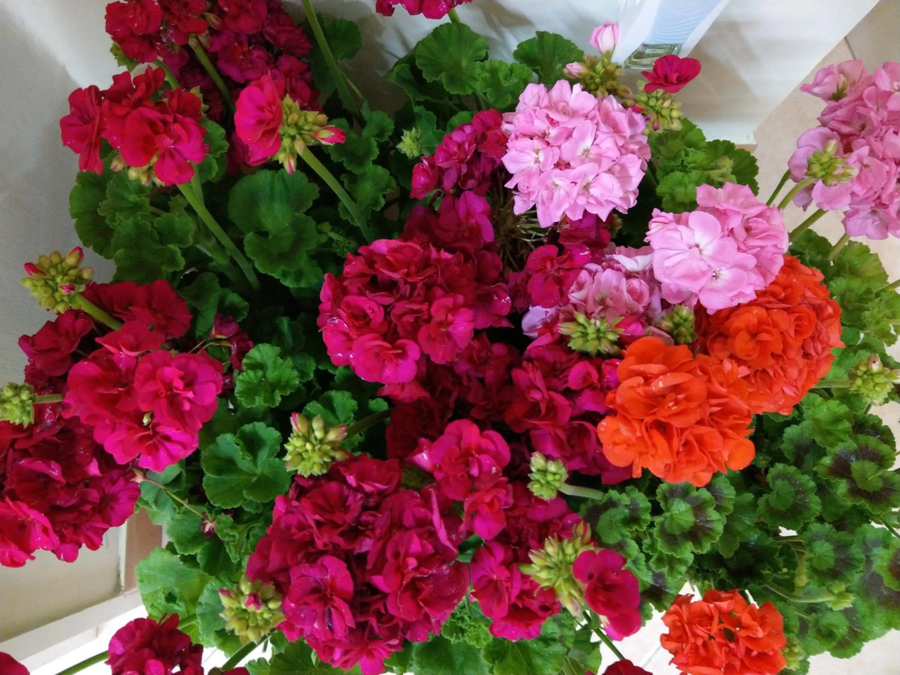 Other in B&B La Canzanella