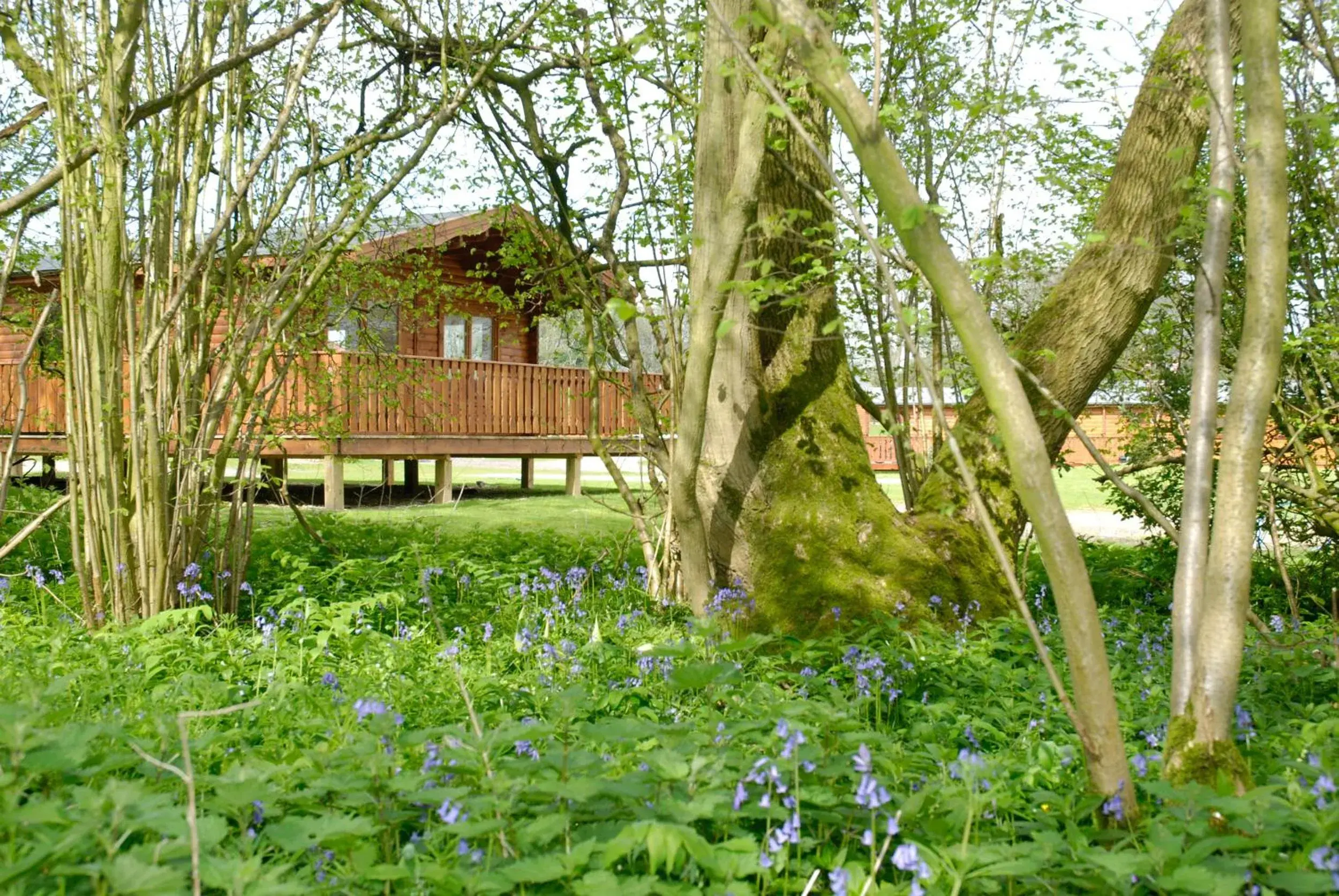 South Winchester Lodges South Winchester Lodges