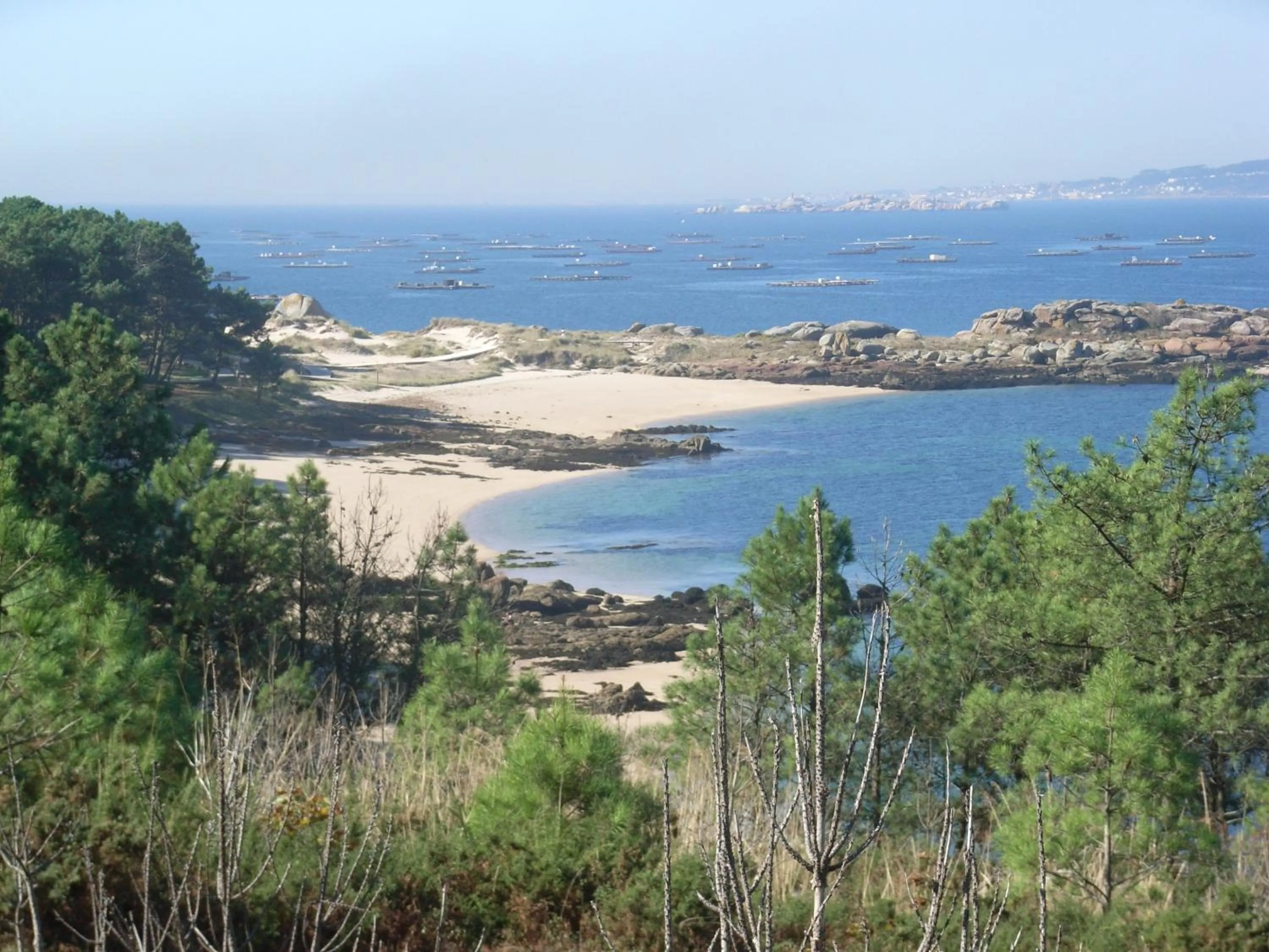 Beach in Apartamentos Arosa