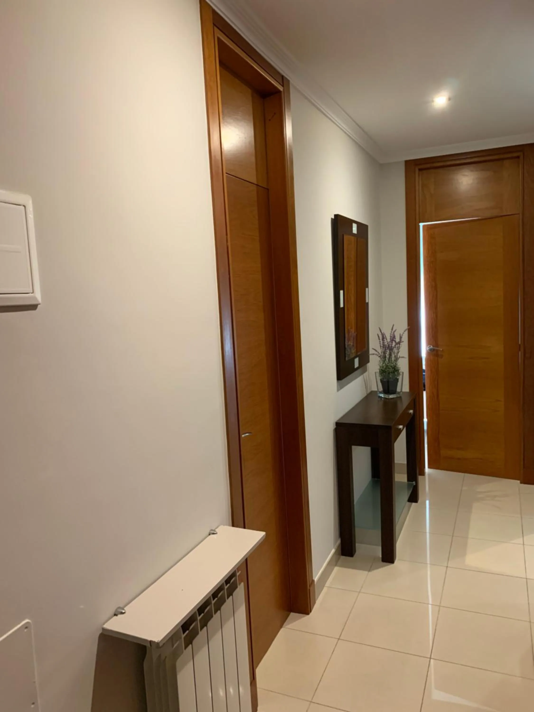 Other in Apartamentos Arosa