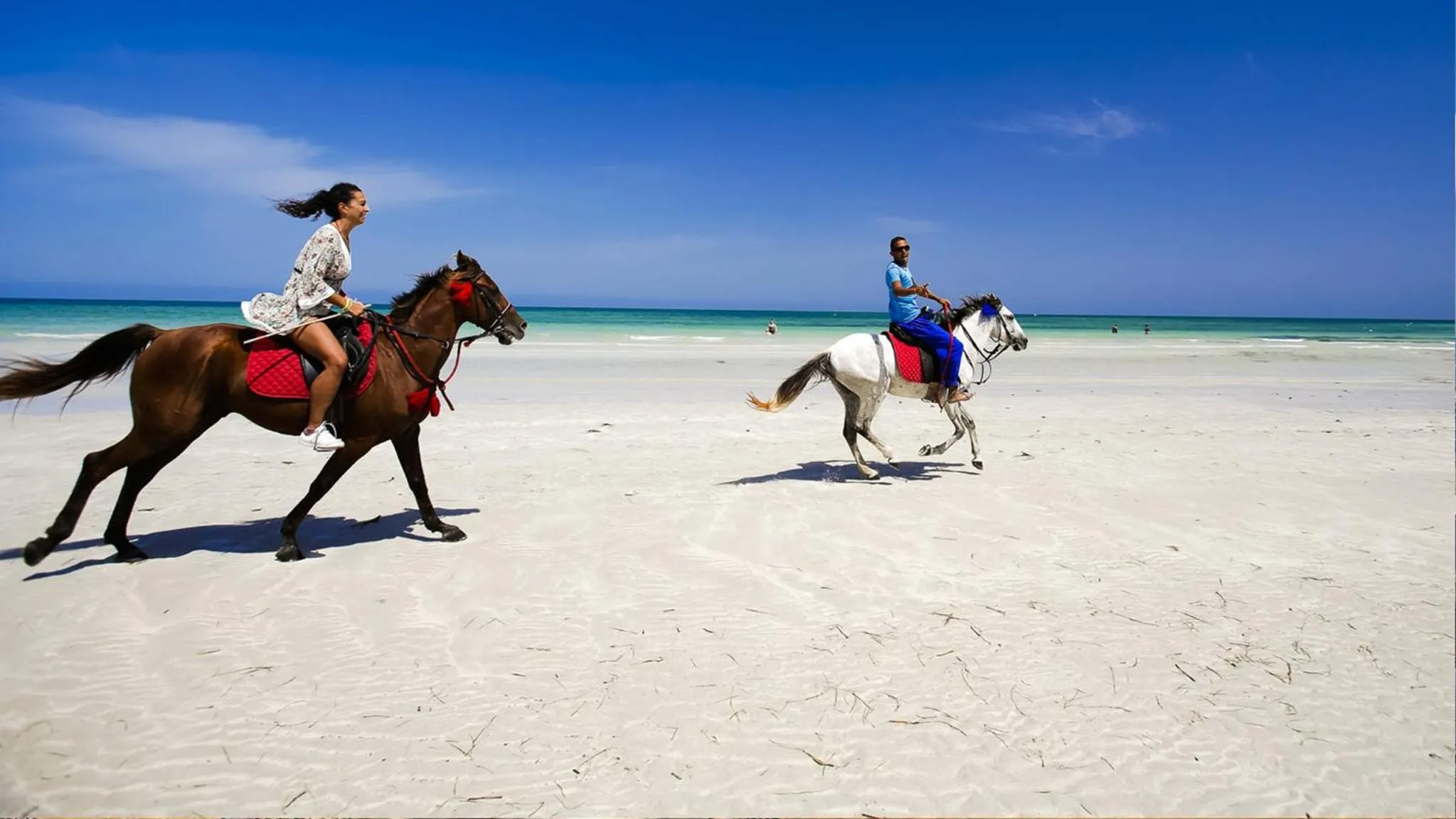 Property building in Djerba Plaza Thalasso & Spa