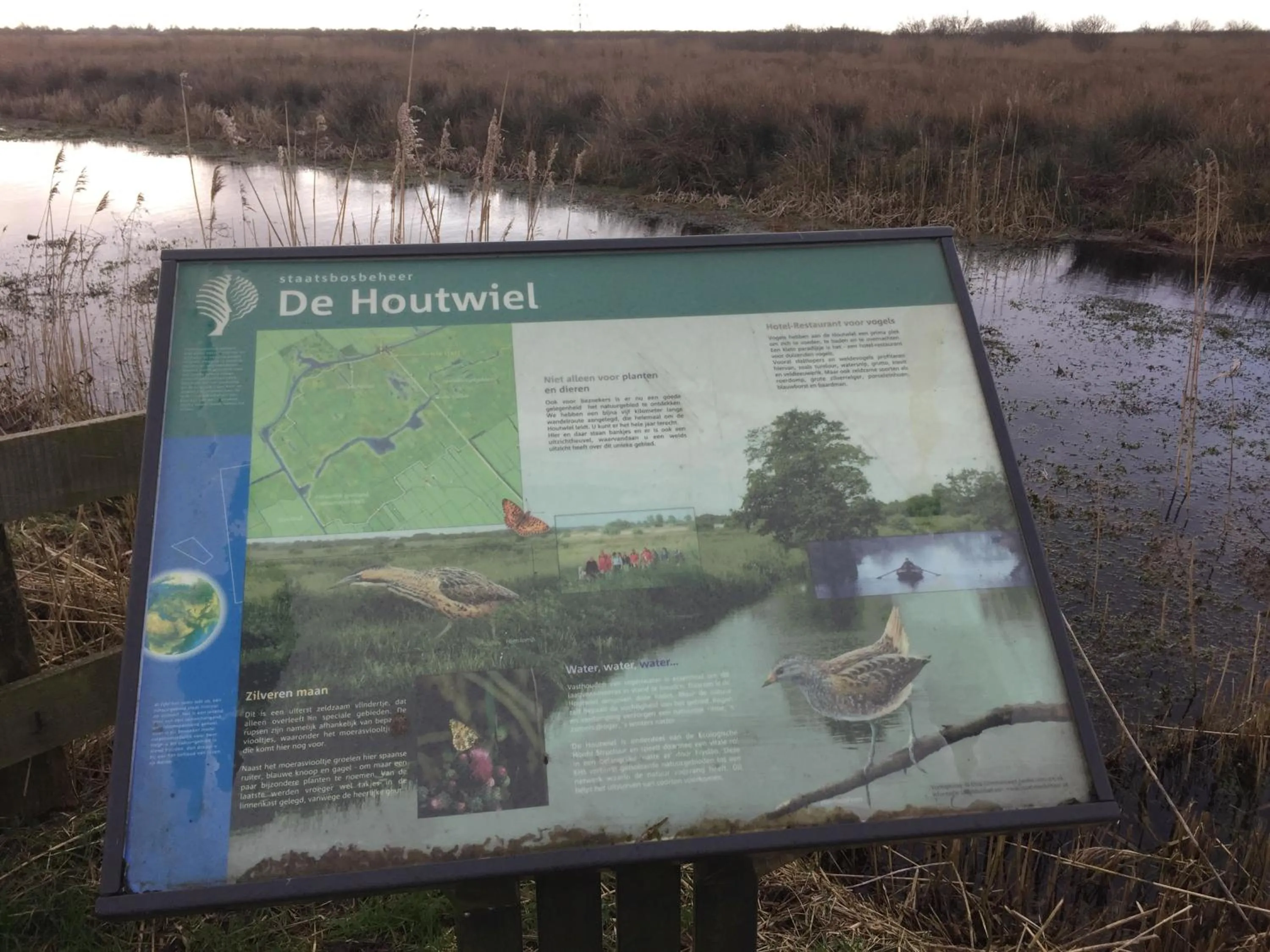 Natural landscape in Bed en Breakfast de Houtwiel