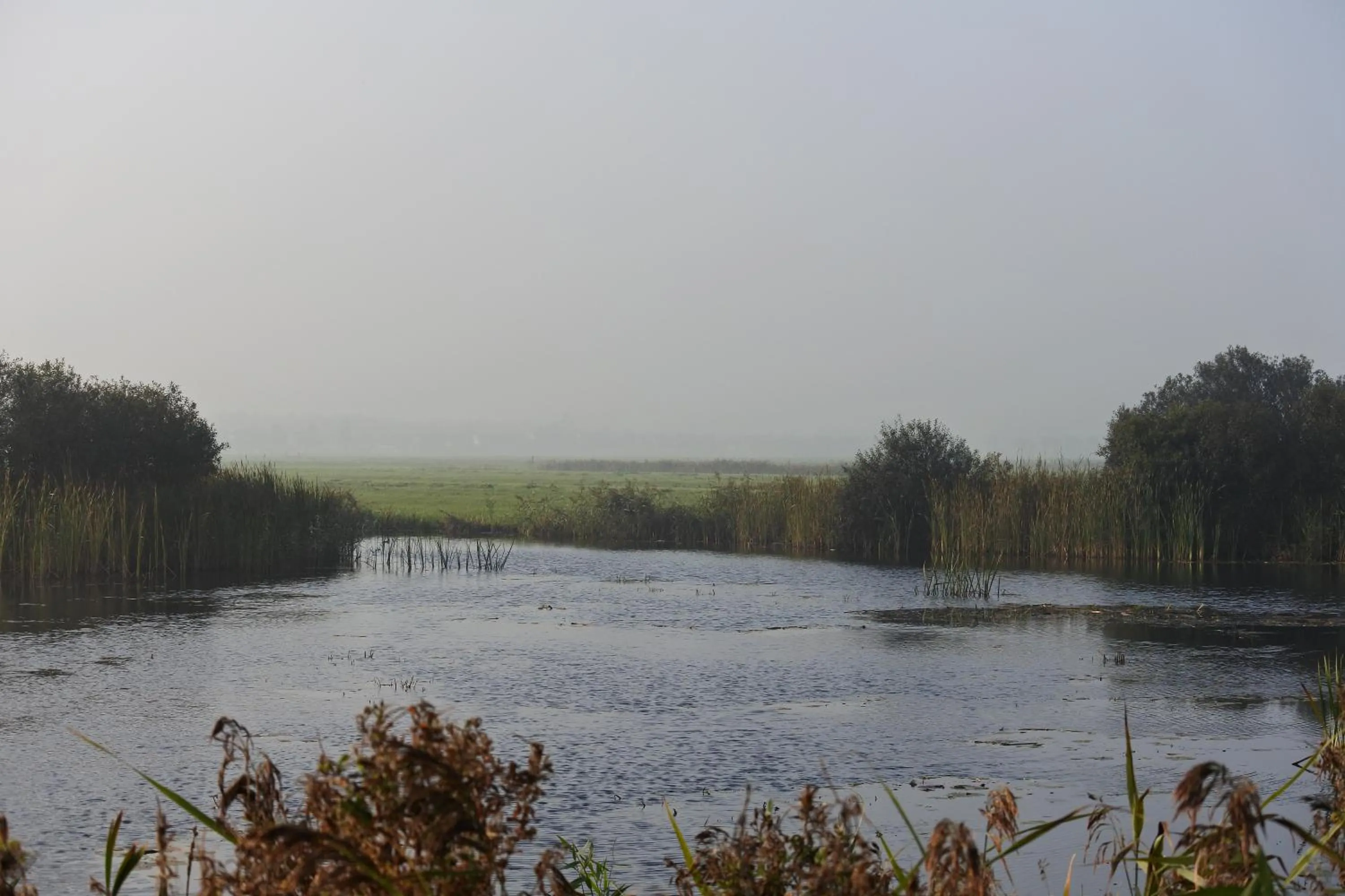 Area and facilities in Bed en Breakfast de Houtwiel