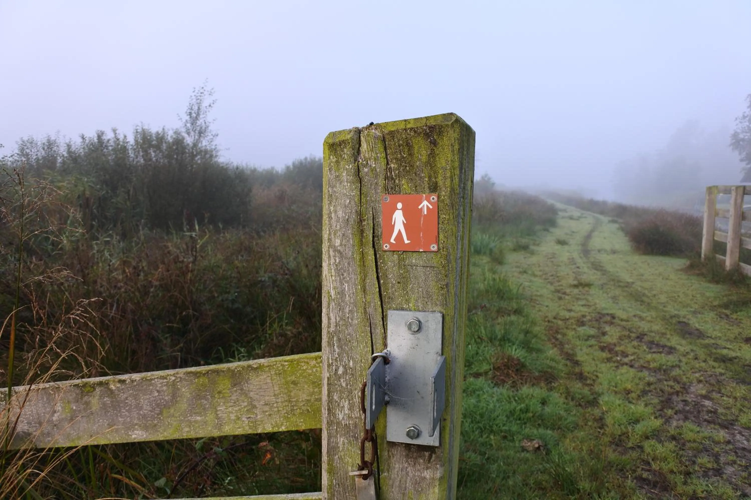 Natural landscape in Bed en Breakfast de Houtwiel