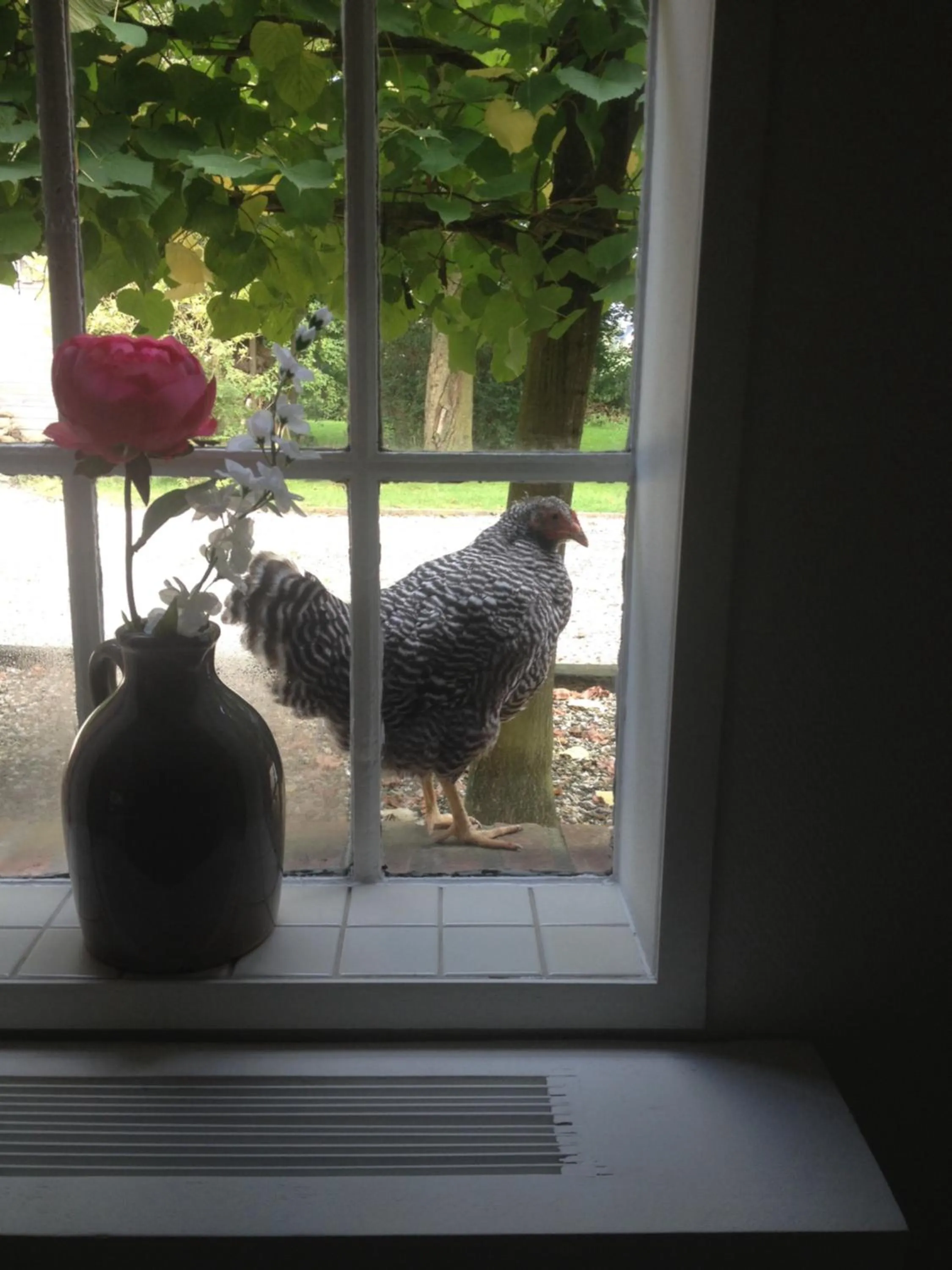 Bed en Breakfast de Houtwiel