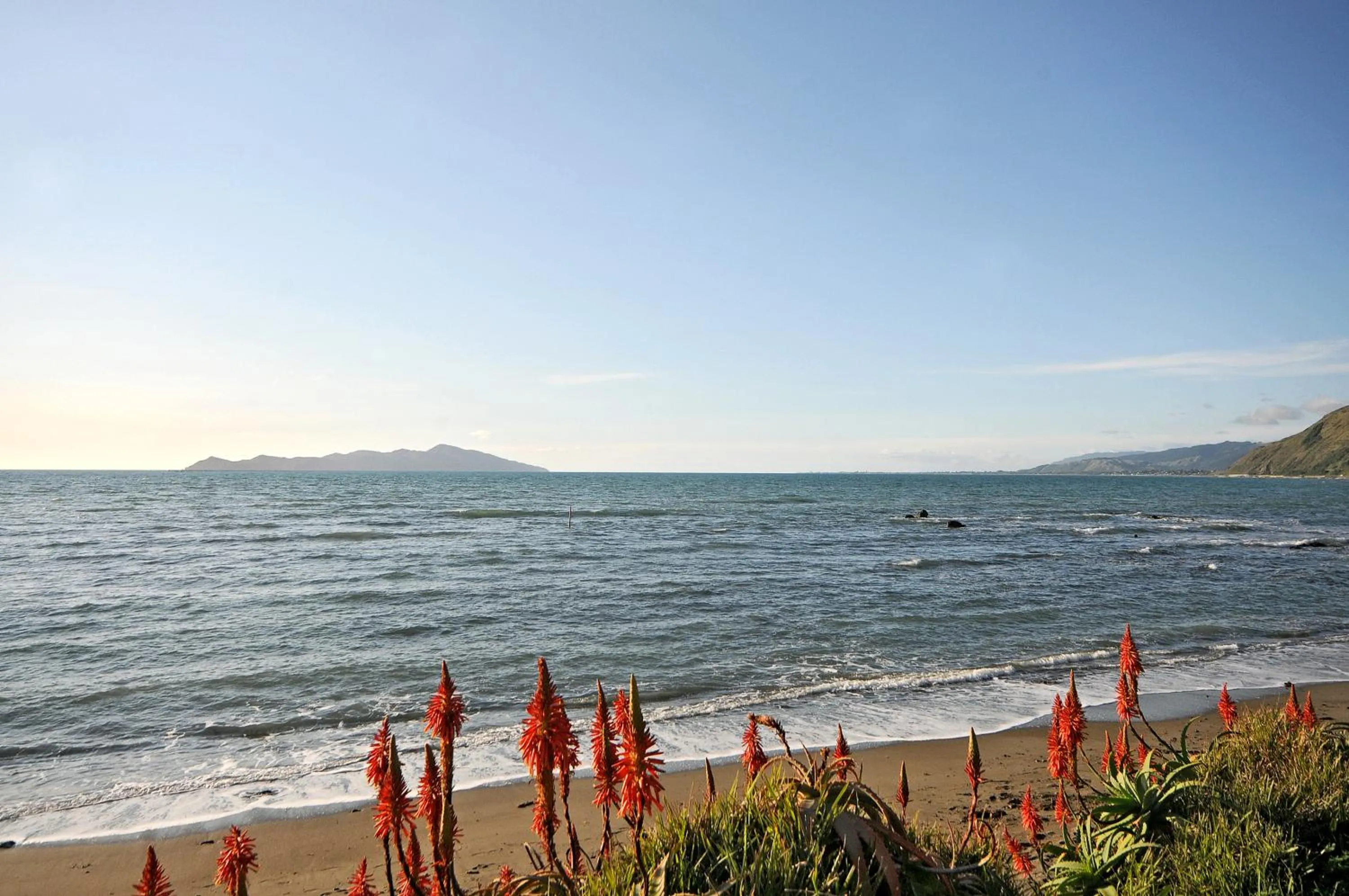 Beach in Kapiti Waves Bed & Breakfast