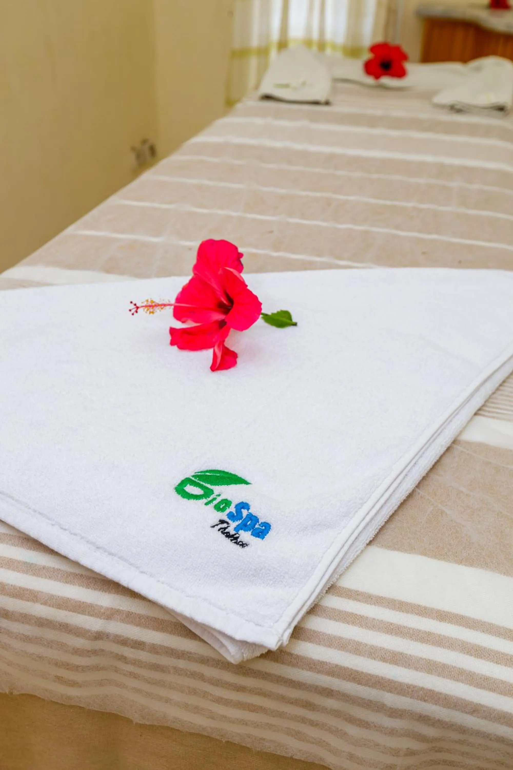 Iris Hotel & Thalasso