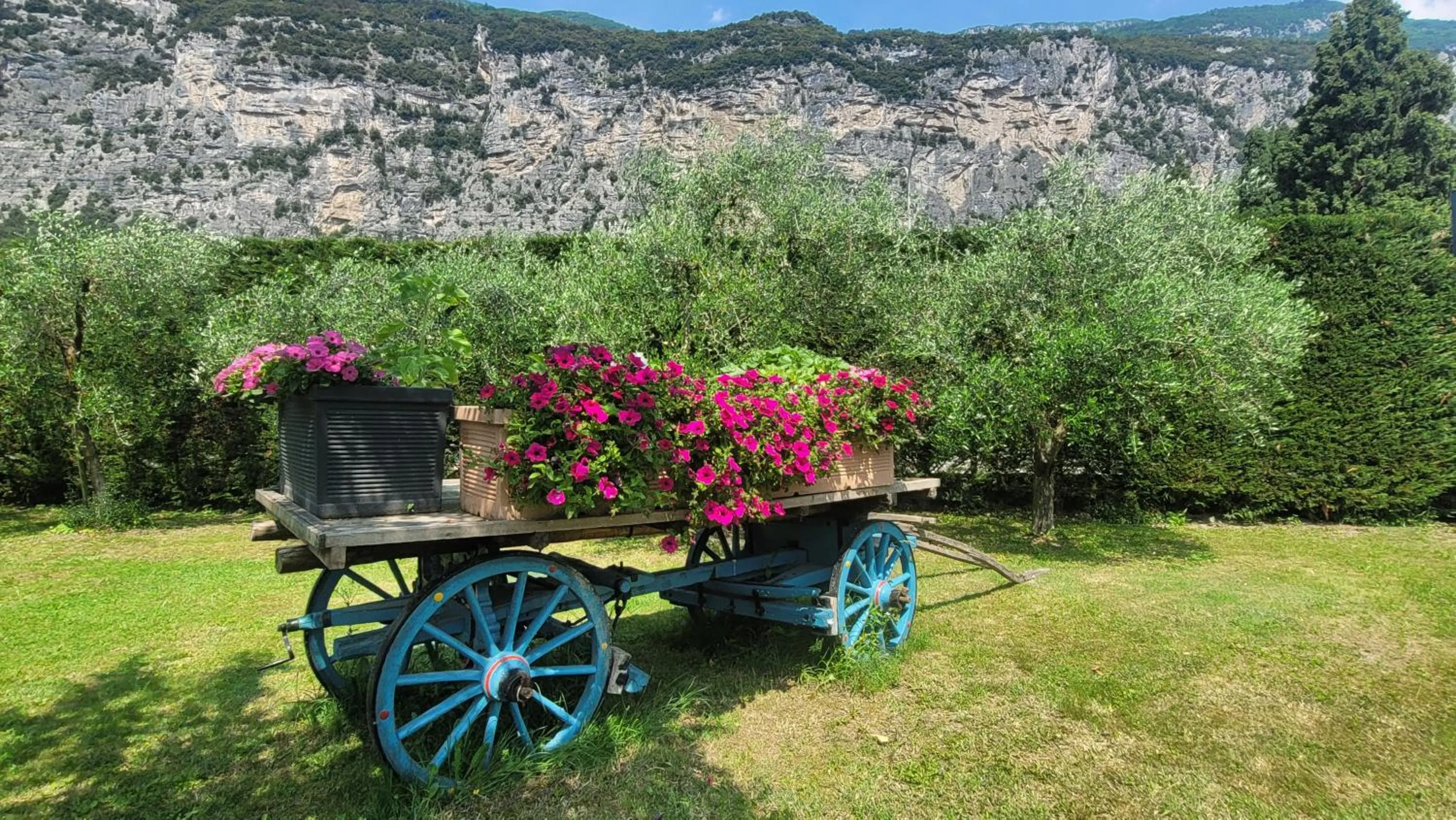 Agriturismo Vin e Amor