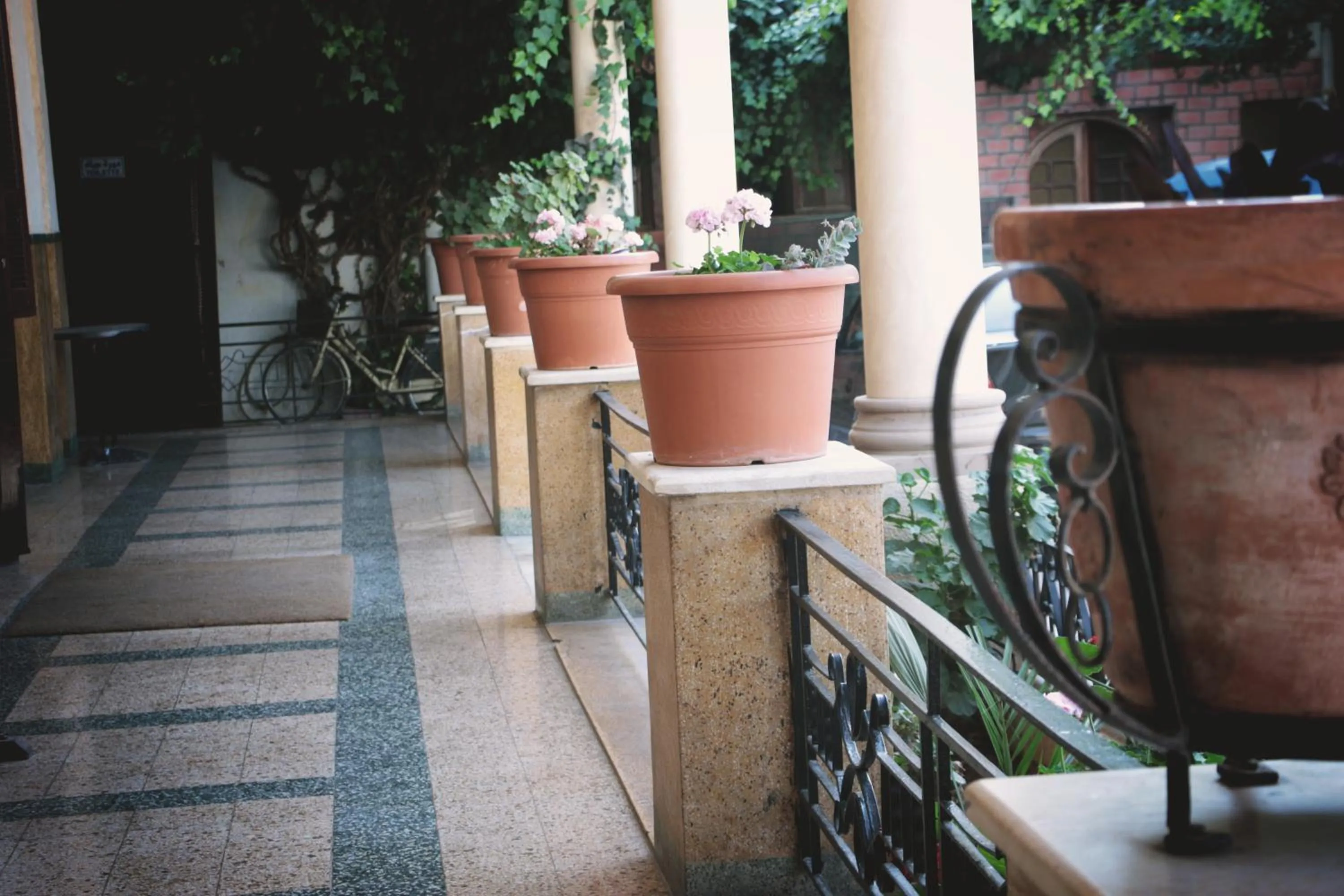 Patio in Hotel Saint Georges Tunis