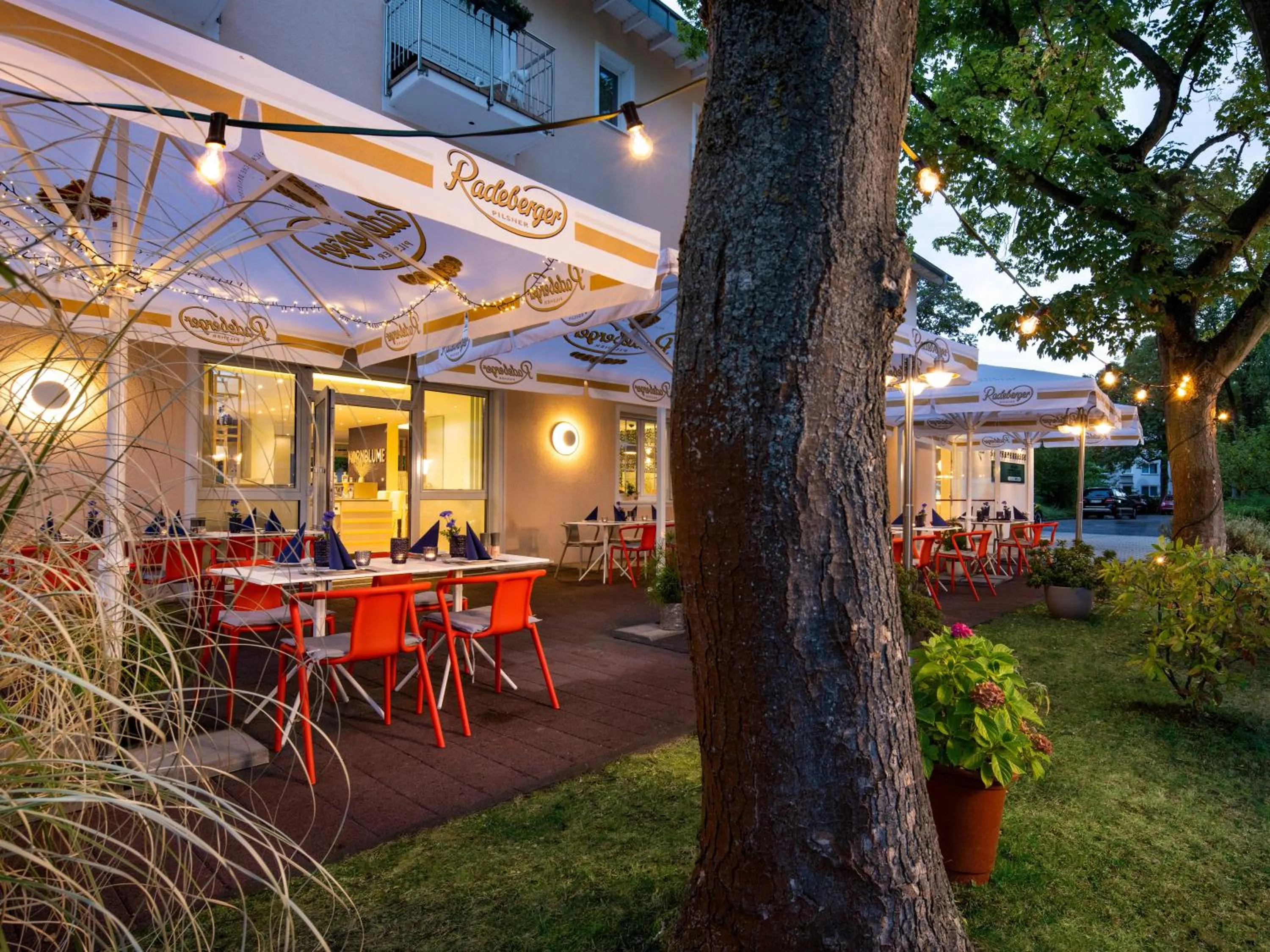 Garden in Kristallhotel Fettehenne