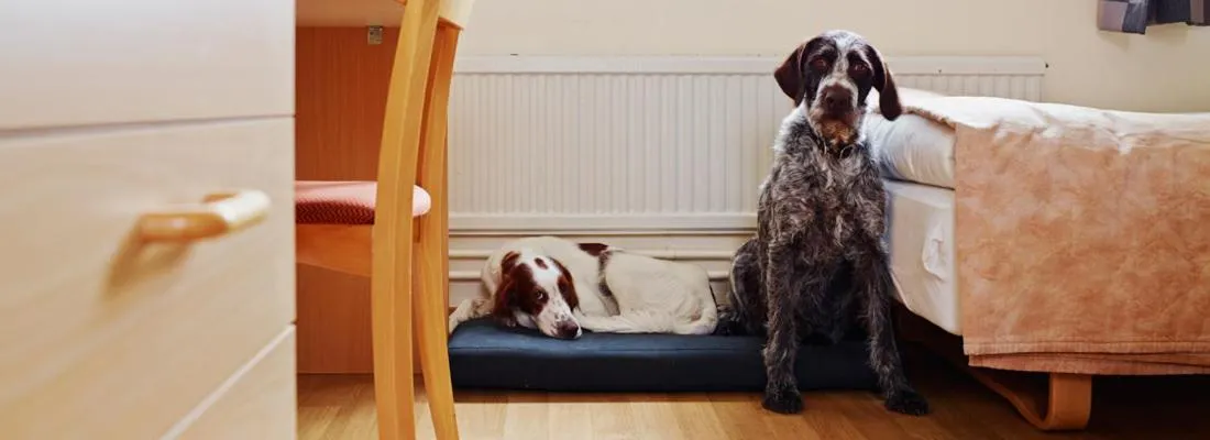 Photo of the whole room, Bed in Hotell Sport & Rest