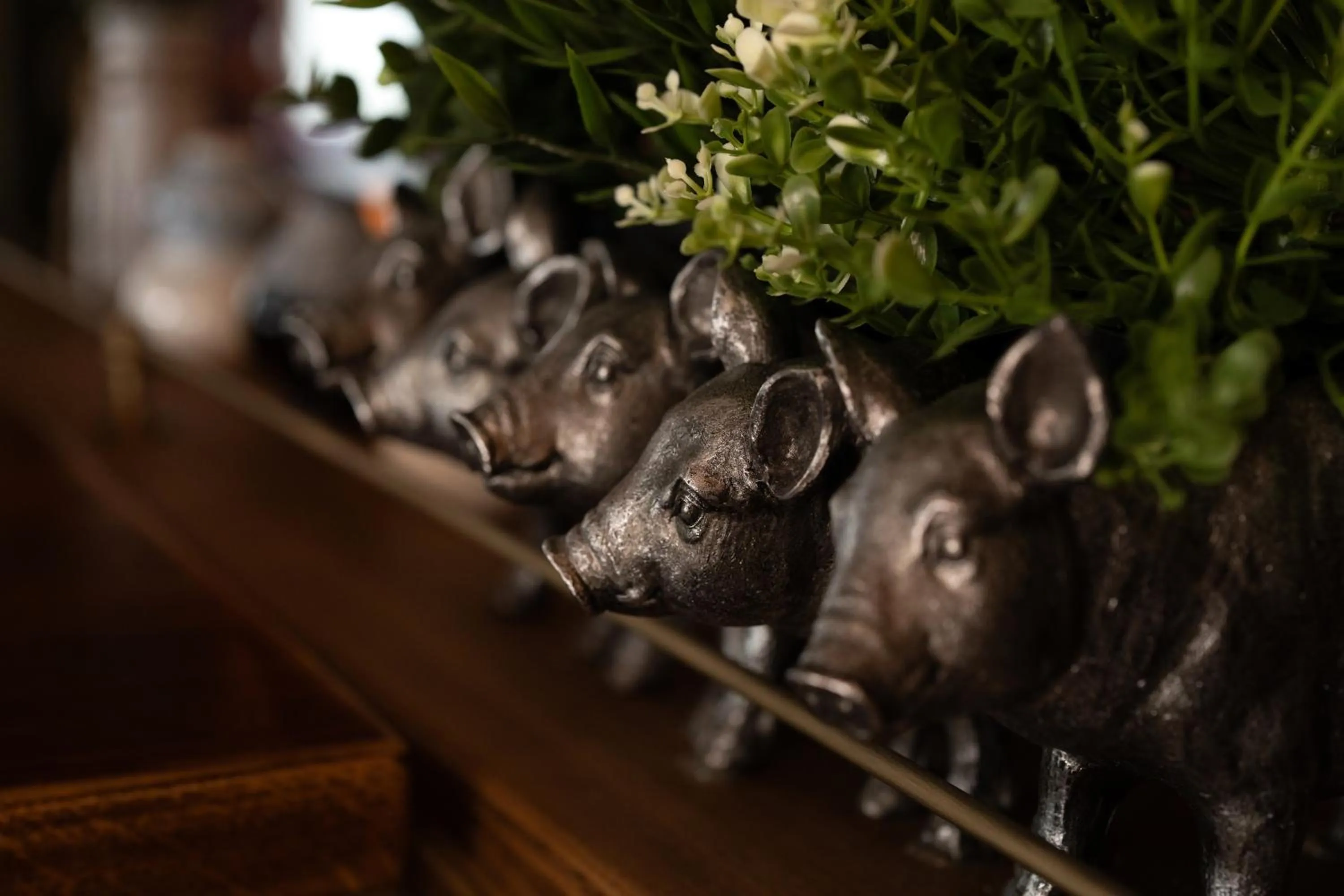 Animals in The Hampshire Hog