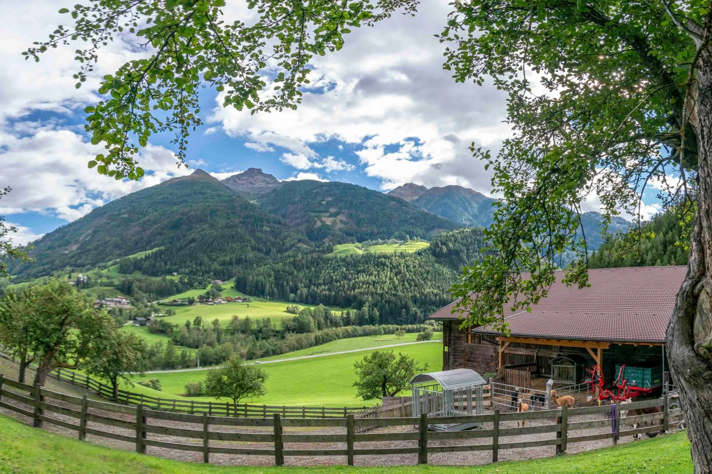 Mountain view in Ruggenthalerhof