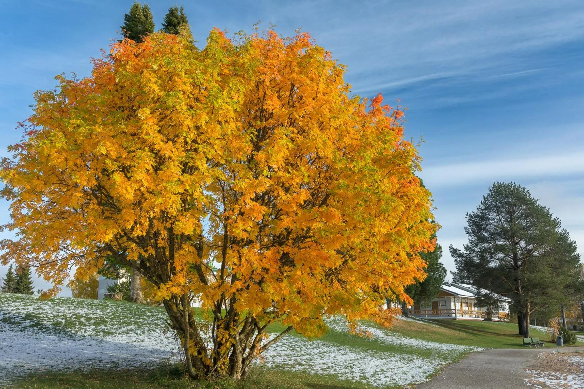 Natural landscape in Hotel Mestarin Kievari