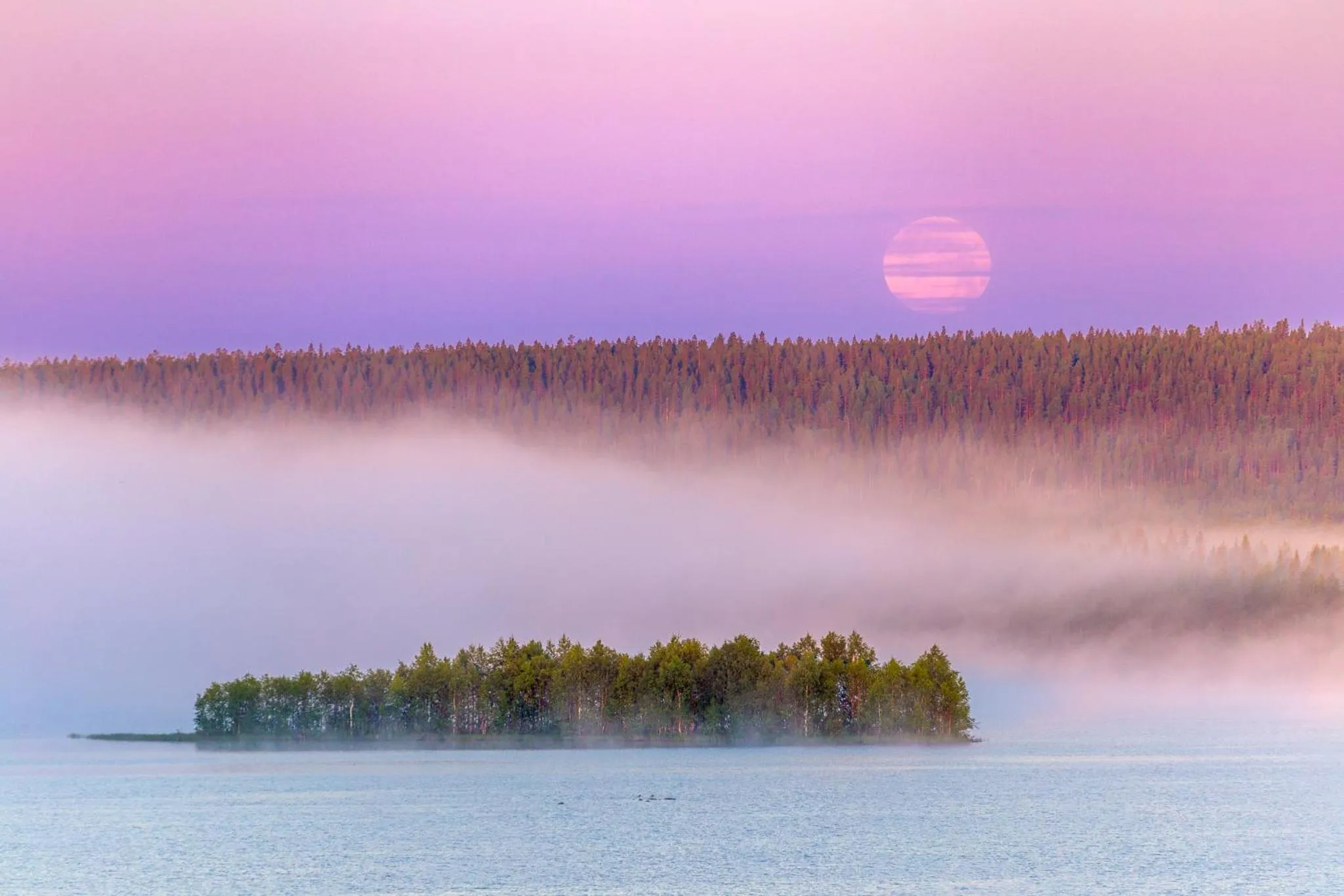 Natural landscape in Hotel Mestarin Kievari