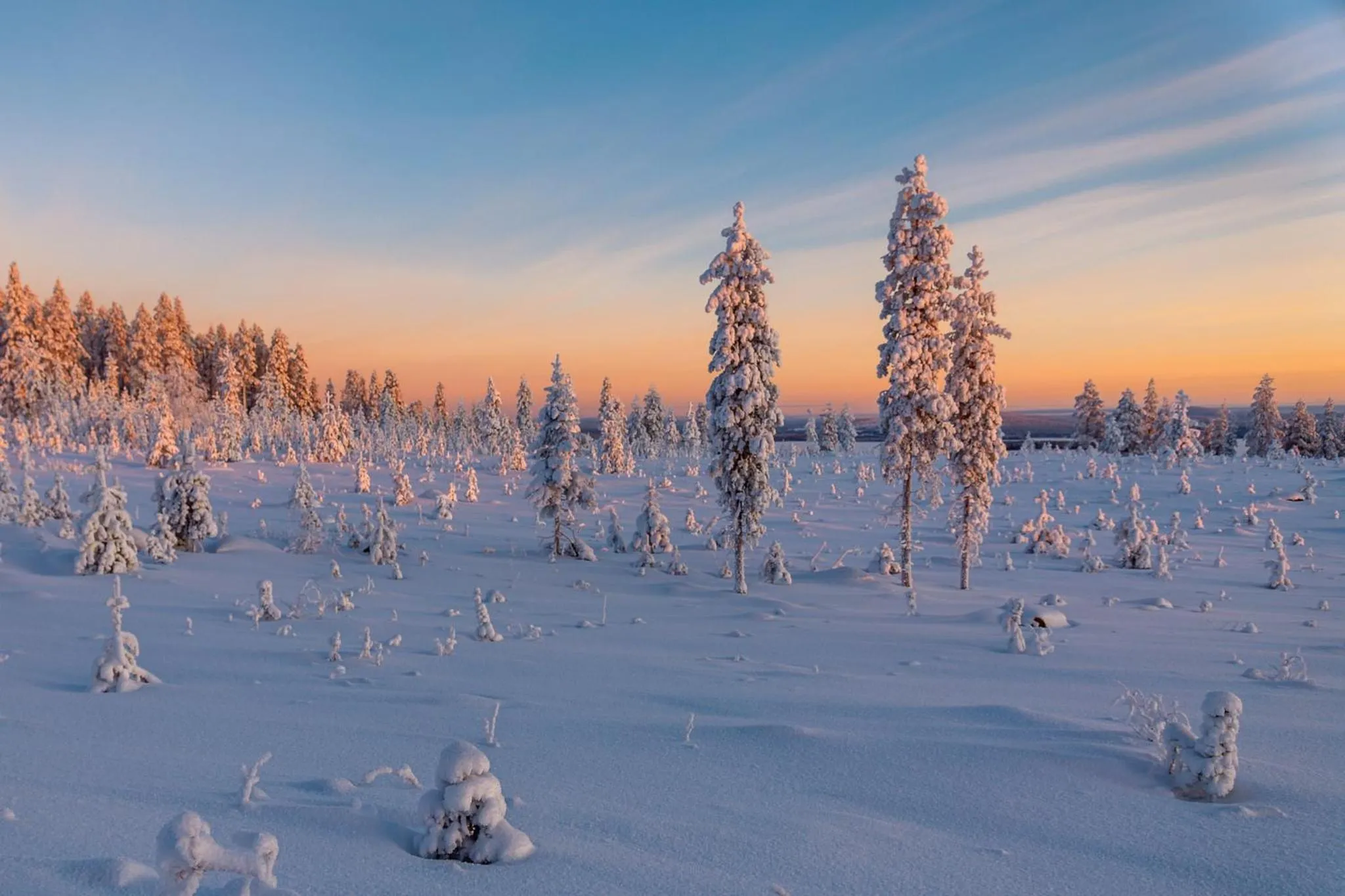 Natural landscape in Hotel Mestarin Kievari