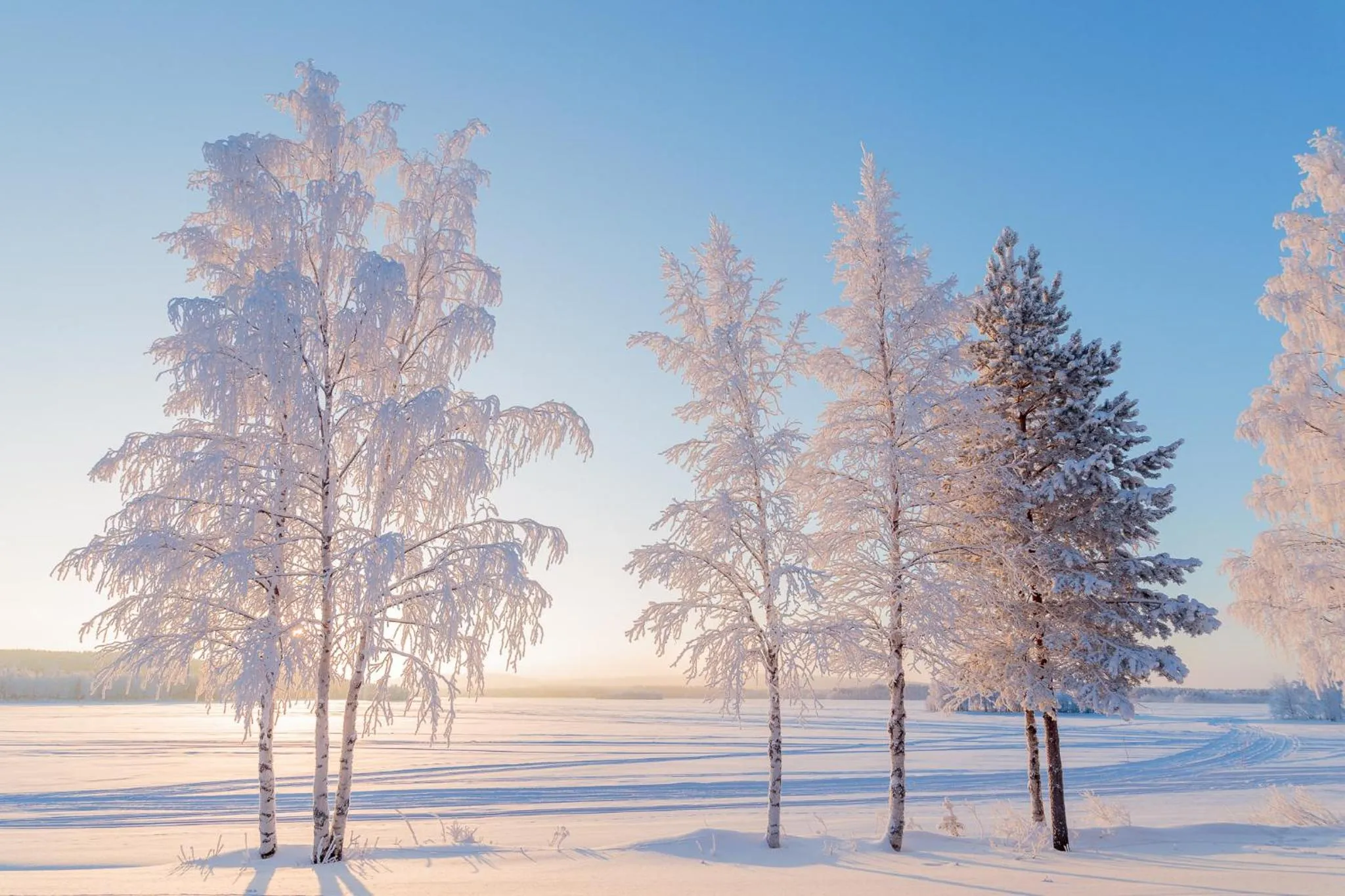 Natural landscape in Hotel Mestarin Kievari