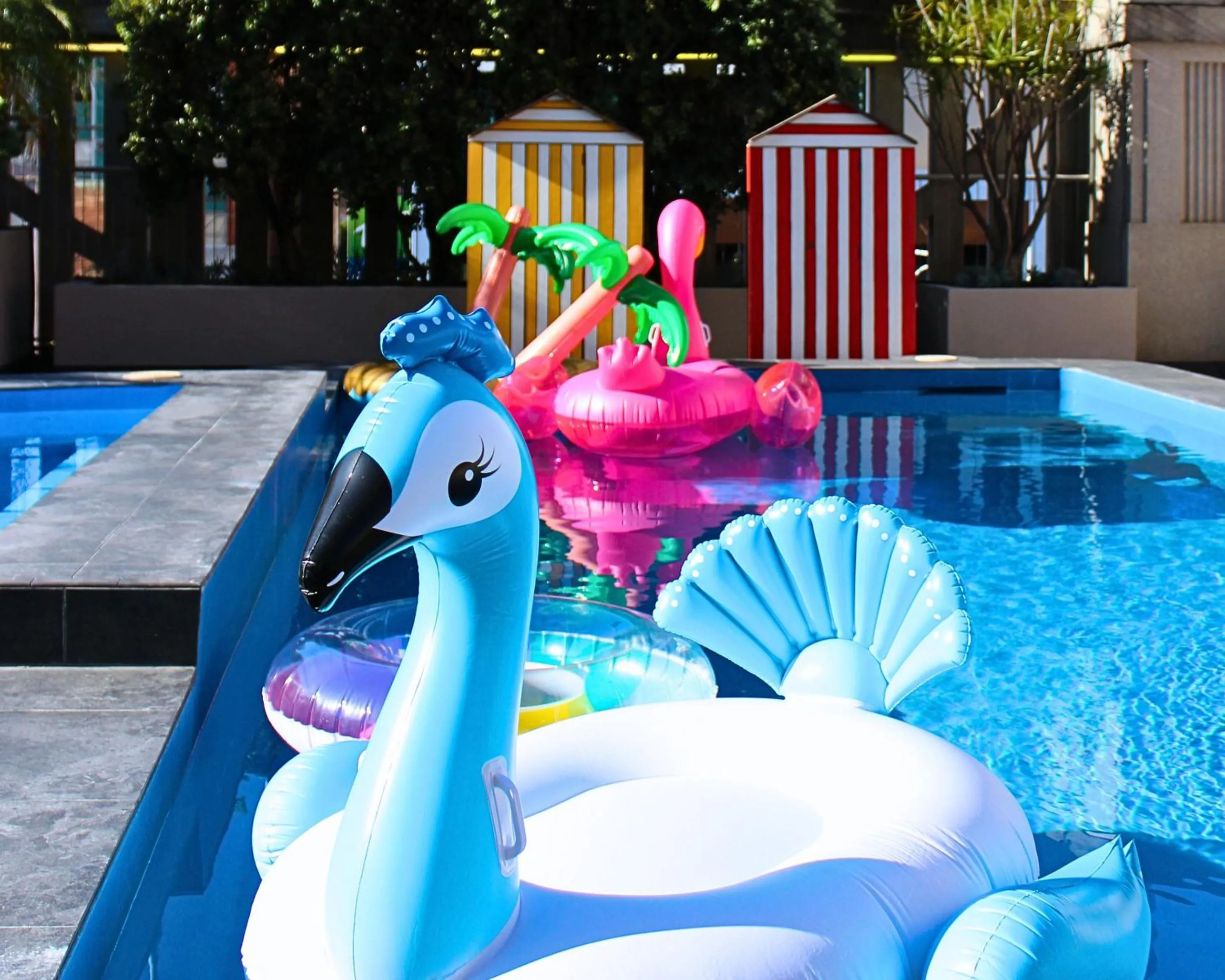 Swimming pool in Hotel Grand Chancellor Adelaide