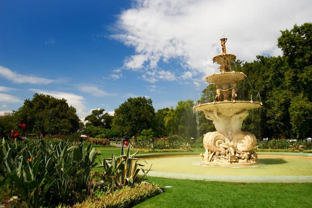 Area and facilities in Comfort Apartments Royal Gardens