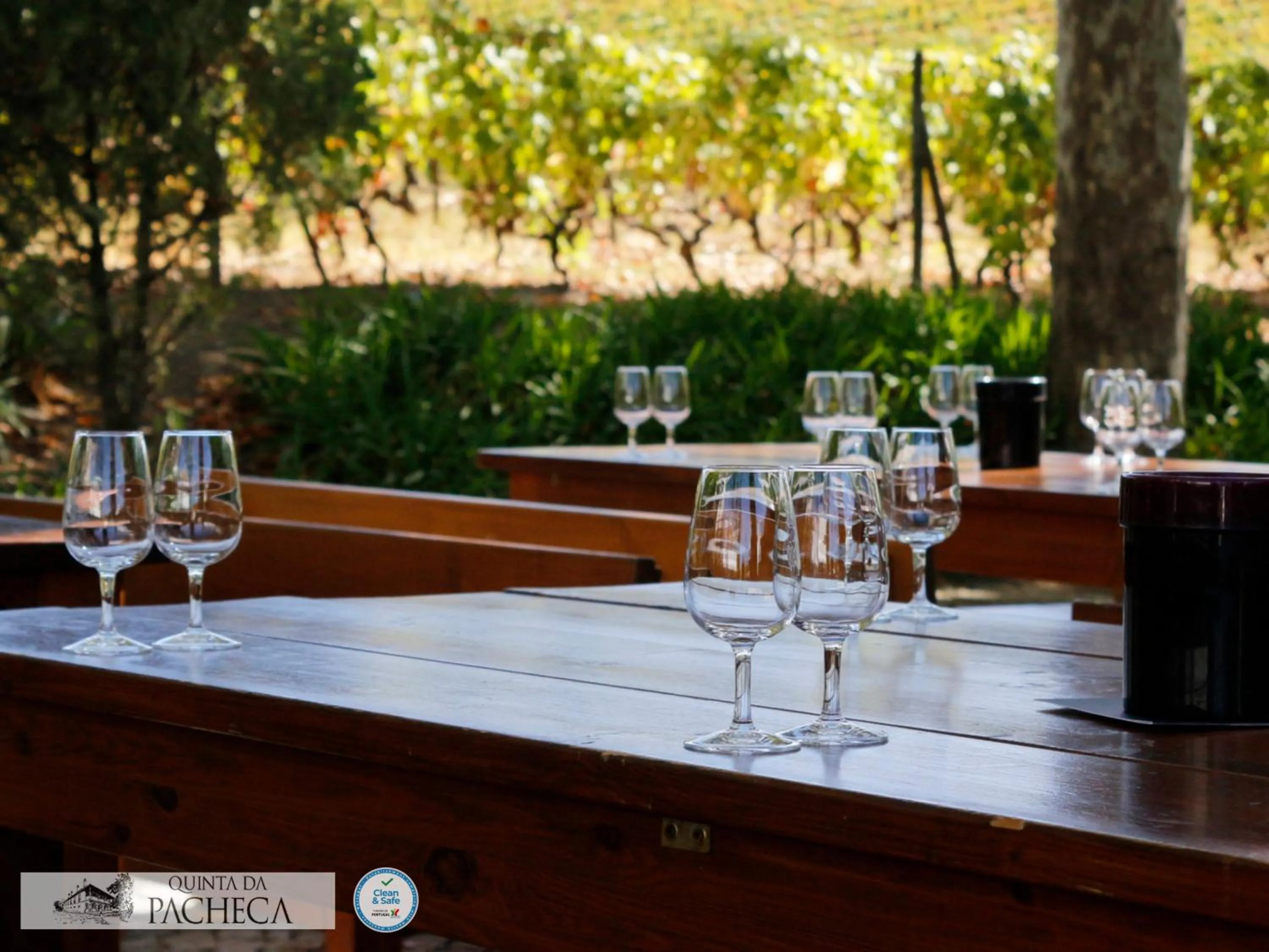 Pacheca The Wine House Hotel e Spa - Quinta da Pacheca