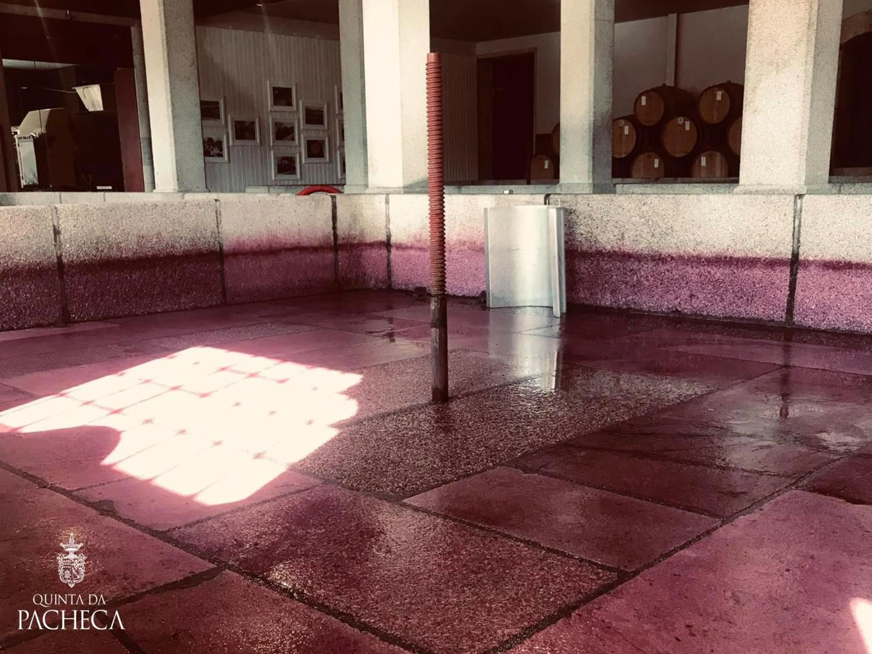 Pacheca The Wine House Hotel e Spa - Quinta da Pacheca