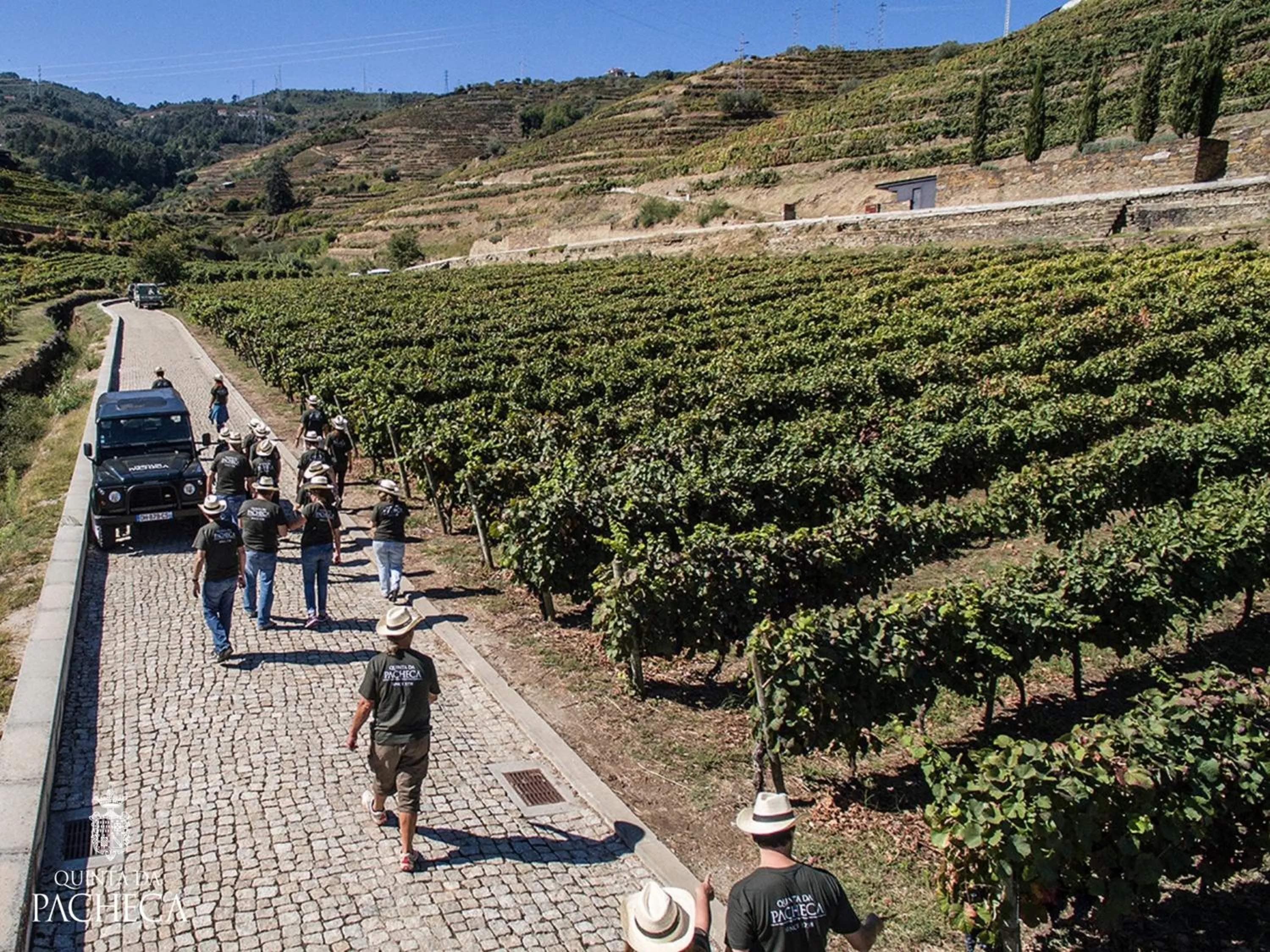 Natural landscape in Pacheca The Wine House Hotel e Spa - Quinta da Pacheca