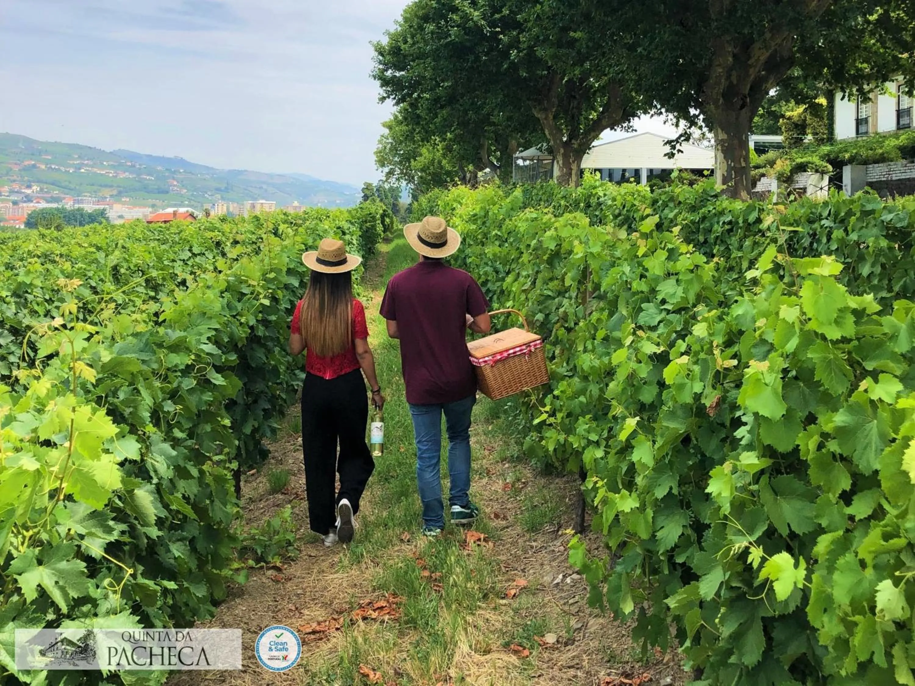 Pacheca The Wine House Hotel e Spa - Quinta da Pacheca