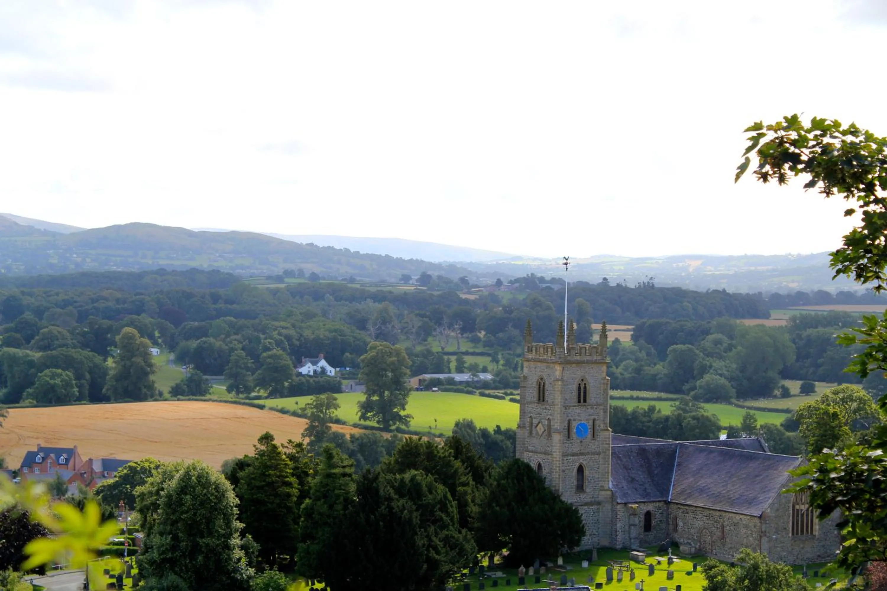 Area and facilities in The Dragon Hotel